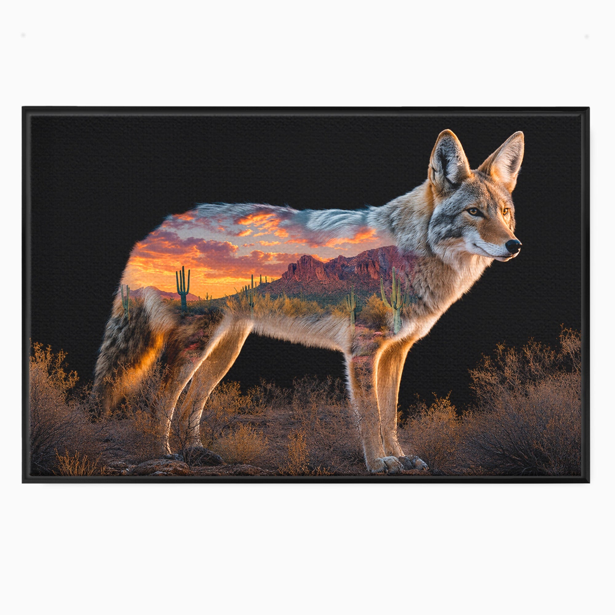 Tablou Canvas Premium LuxCanva® M1643, Coyote In Desert, Coyote, Desert, Apus, Natura, Peisaj, Animale, Living, Culori Vibrante
