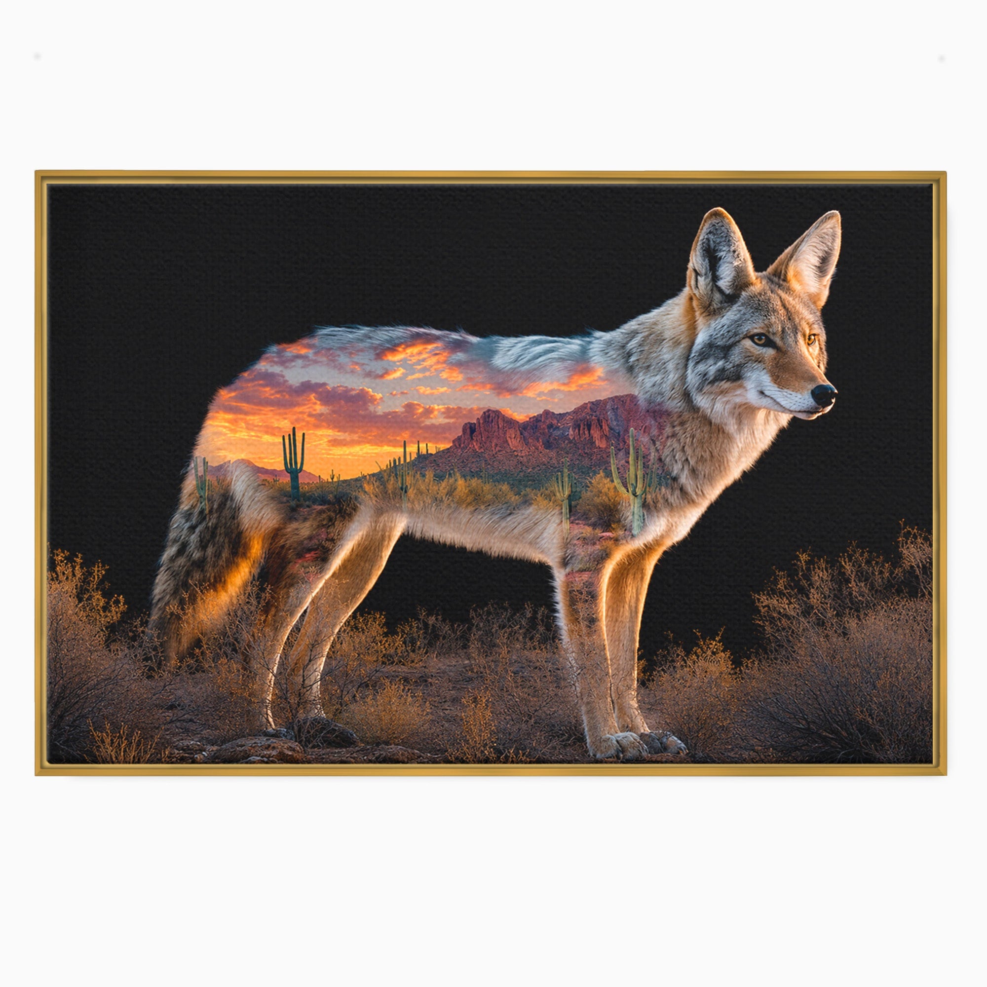 Tablou Canvas Premium LuxCanva® M1643, Coyote In Desert, Coyote, Desert, Apus, Natura, Peisaj, Animale, Living, Culori Vibrante