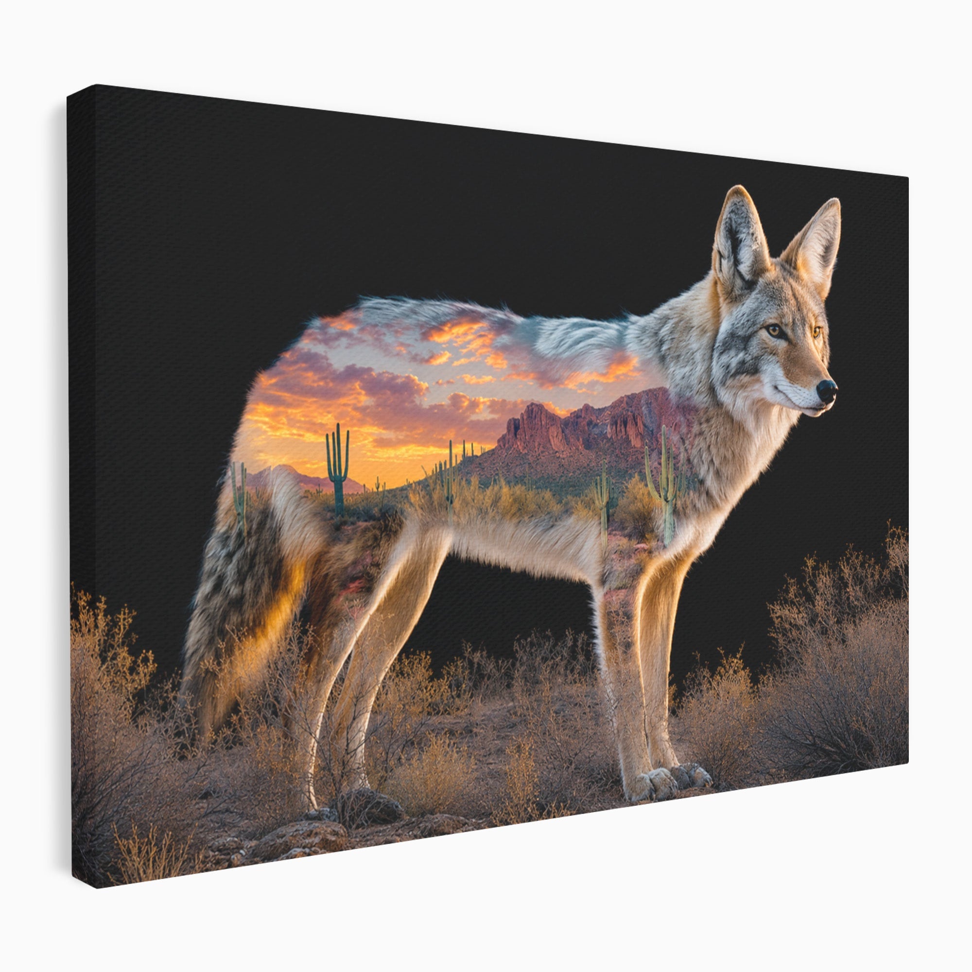 Tablou Canvas Premium LuxCanva® M1643, Coyote In Desert, Coyote, Desert, Apus, Natura, Peisaj, Animale, Living, Culori Vibrante