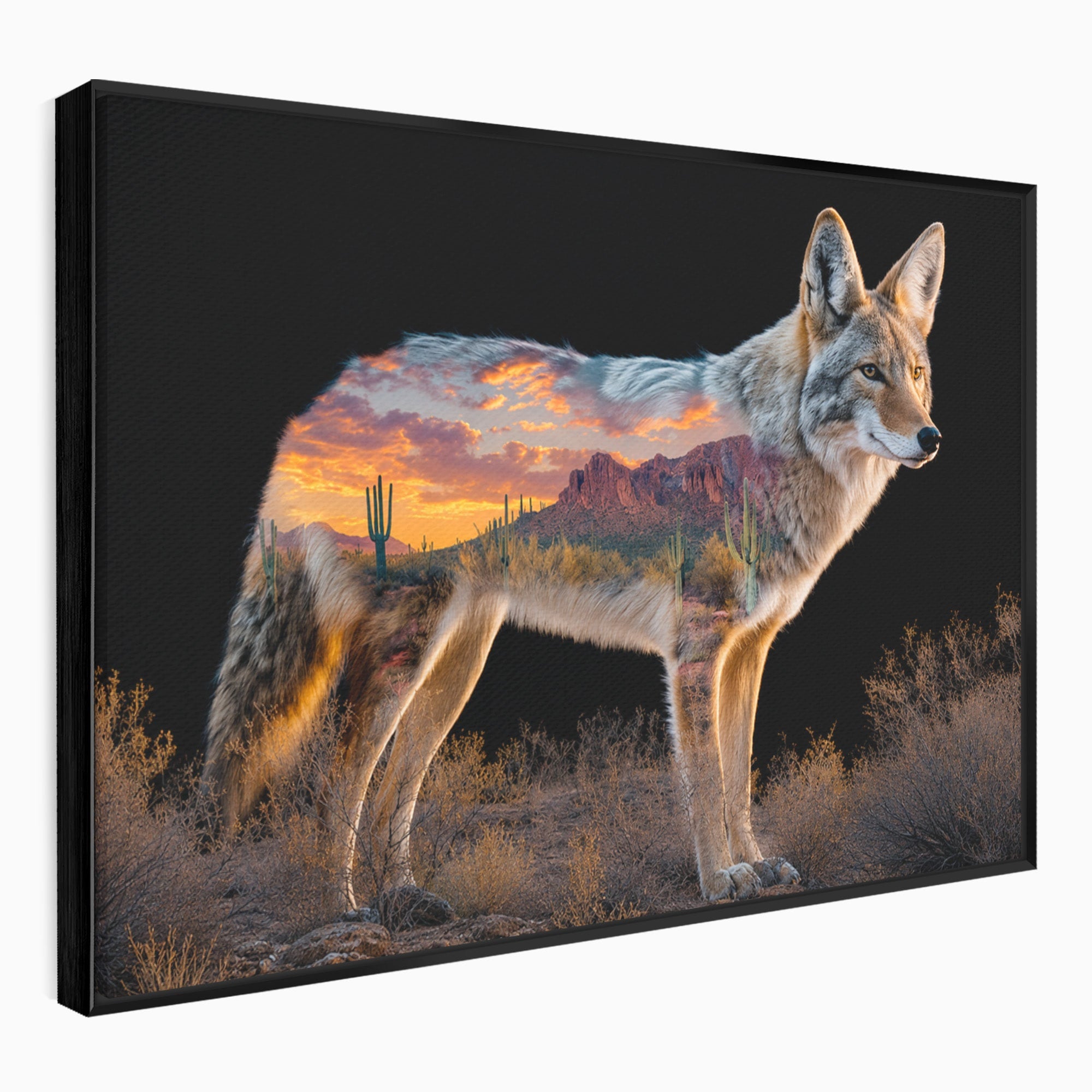 Tablou Canvas Premium LuxCanva® M1643, Coyote In Desert, Coyote, Desert, Apus, Natura, Peisaj, Animale, Living, Culori Vibrante