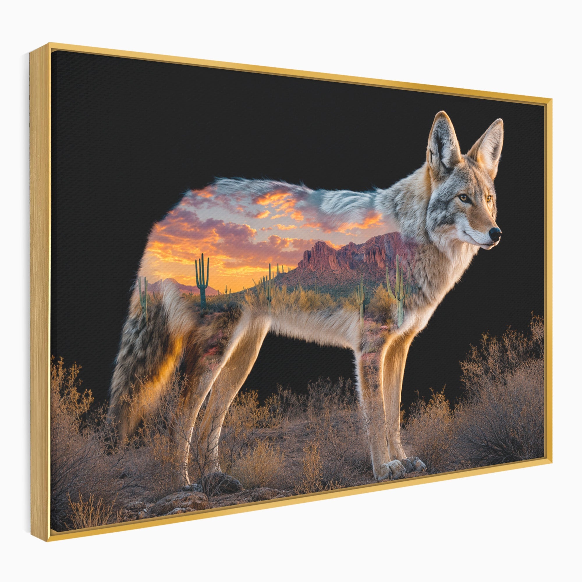 Tablou Canvas Premium LuxCanva® M1643, Coyote In Desert, Coyote, Desert, Apus, Natura, Peisaj, Animale, Living, Culori Vibrante