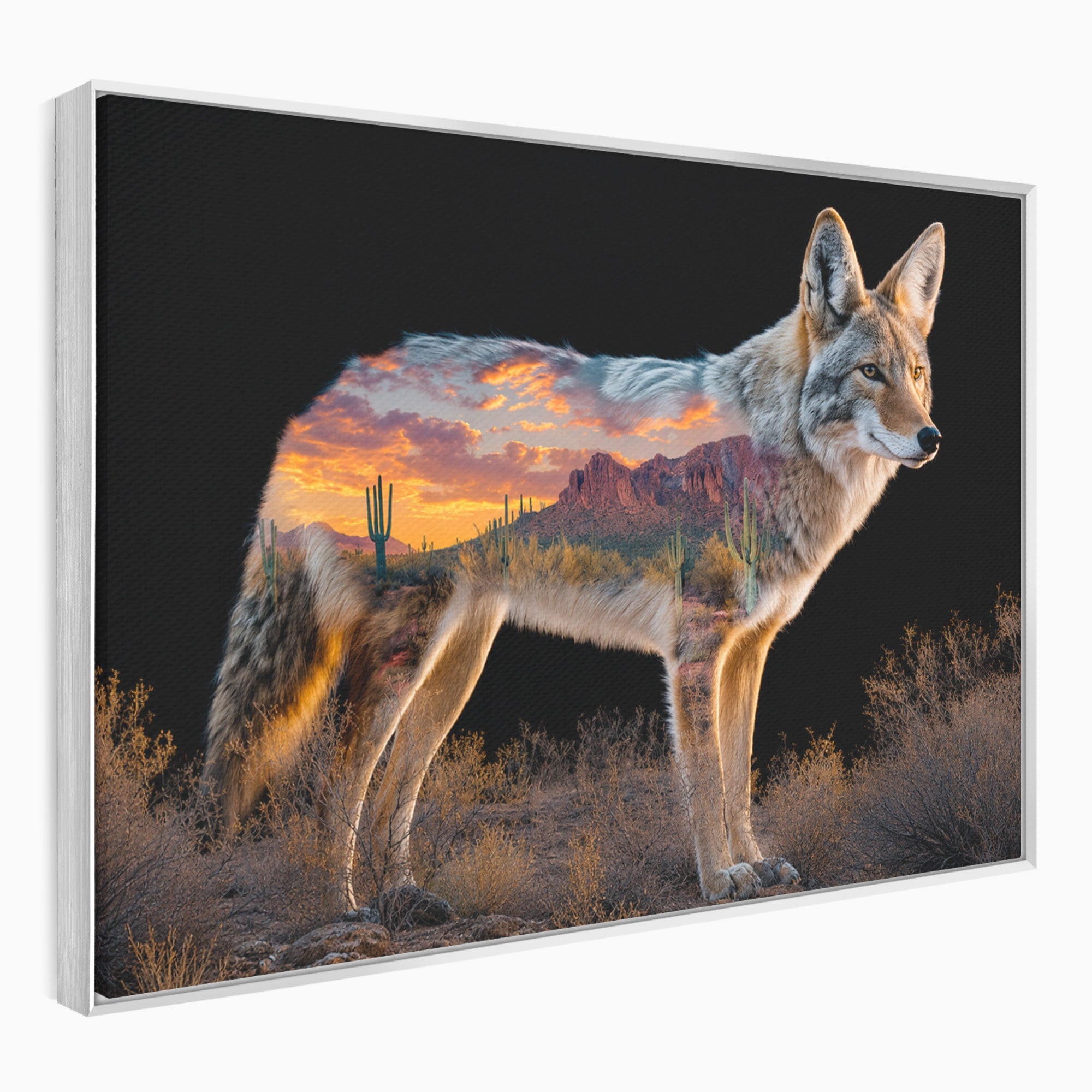 Tablou Canvas Premium LuxCanva® M1643, Coyote In Desert, Coyote, Desert, Apus, Natura, Peisaj, Animale, Living, Culori Vibrante