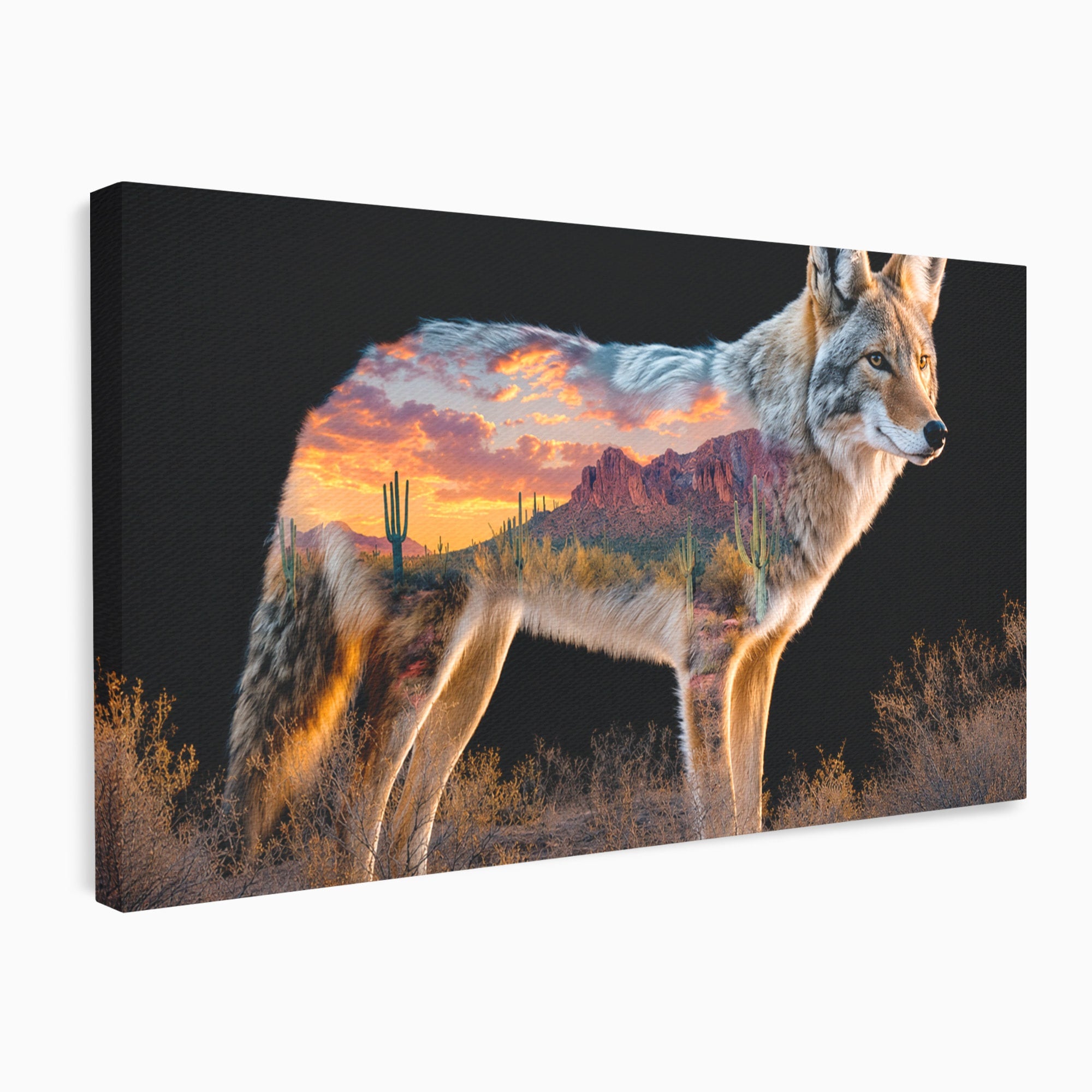 Tablou Canvas Premium LuxCanva® M1643, Coyote In Desert, Coyote, Desert, Apus, Natura, Peisaj, Animale, Living, Culori Vibrante