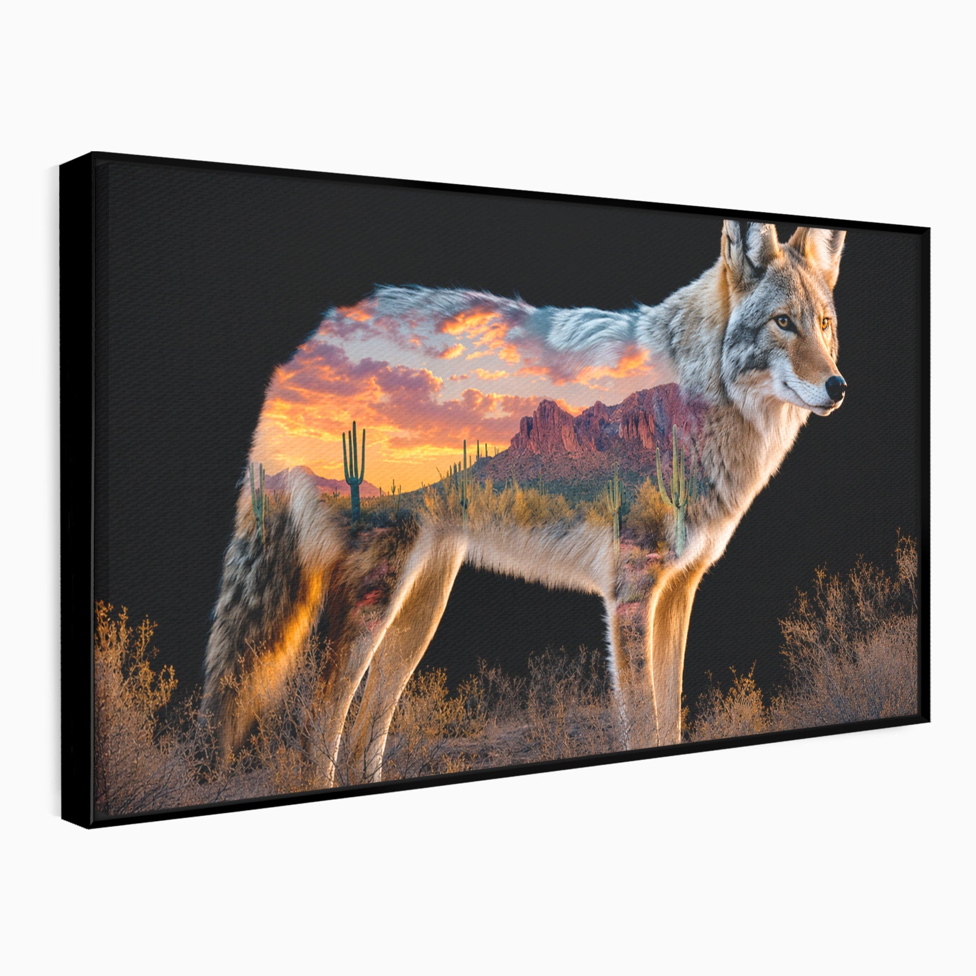 Tablou Canvas Premium LuxCanva® M1643, Coyote In Desert, Coyote, Desert, Apus, Natura, Peisaj, Animale, Living, Culori Vibrante