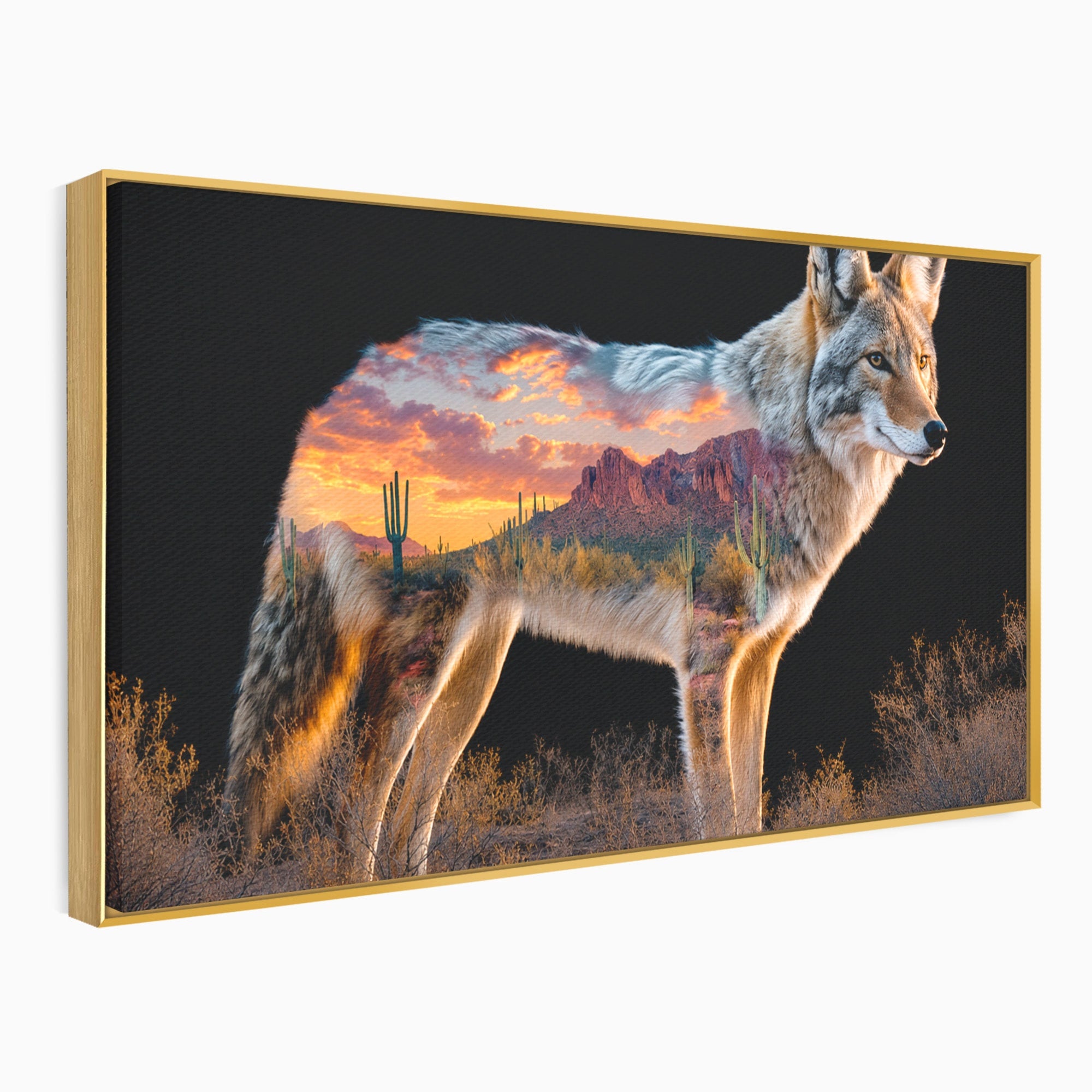 Tablou Canvas Premium LuxCanva® M1643, Coyote In Desert, Coyote, Desert, Apus, Natura, Peisaj, Animale, Living, Culori Vibrante