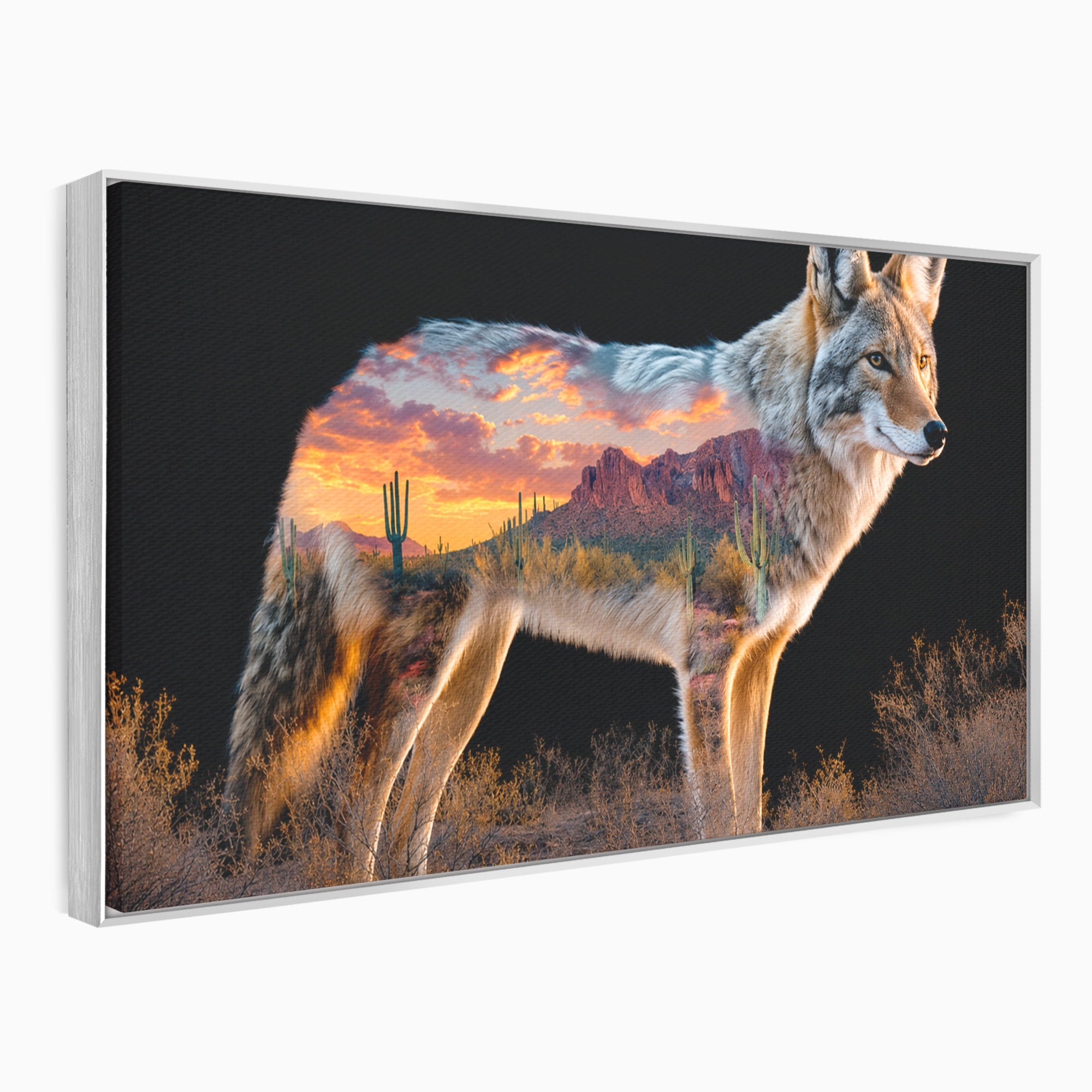 Tablou Canvas Premium LuxCanva® M1643, Coyote In Desert, Coyote, Desert, Apus, Natura, Peisaj, Animale, Living, Culori Vibrante