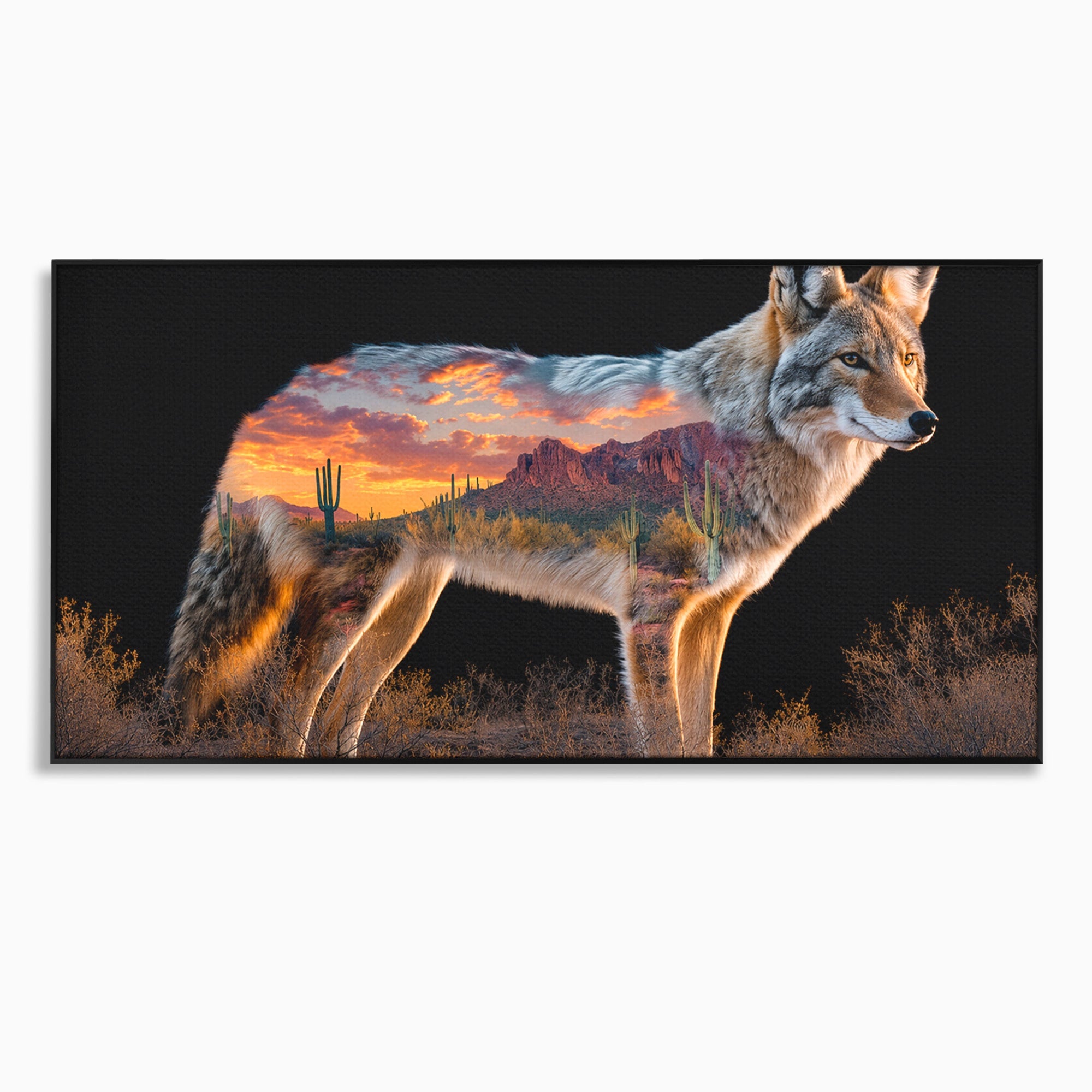Tablou Canvas Premium LuxCanva® M1643, Coyote In Desert, Coyote, Desert, Apus, Natura, Peisaj, Animale, Living, Culori Vibrante