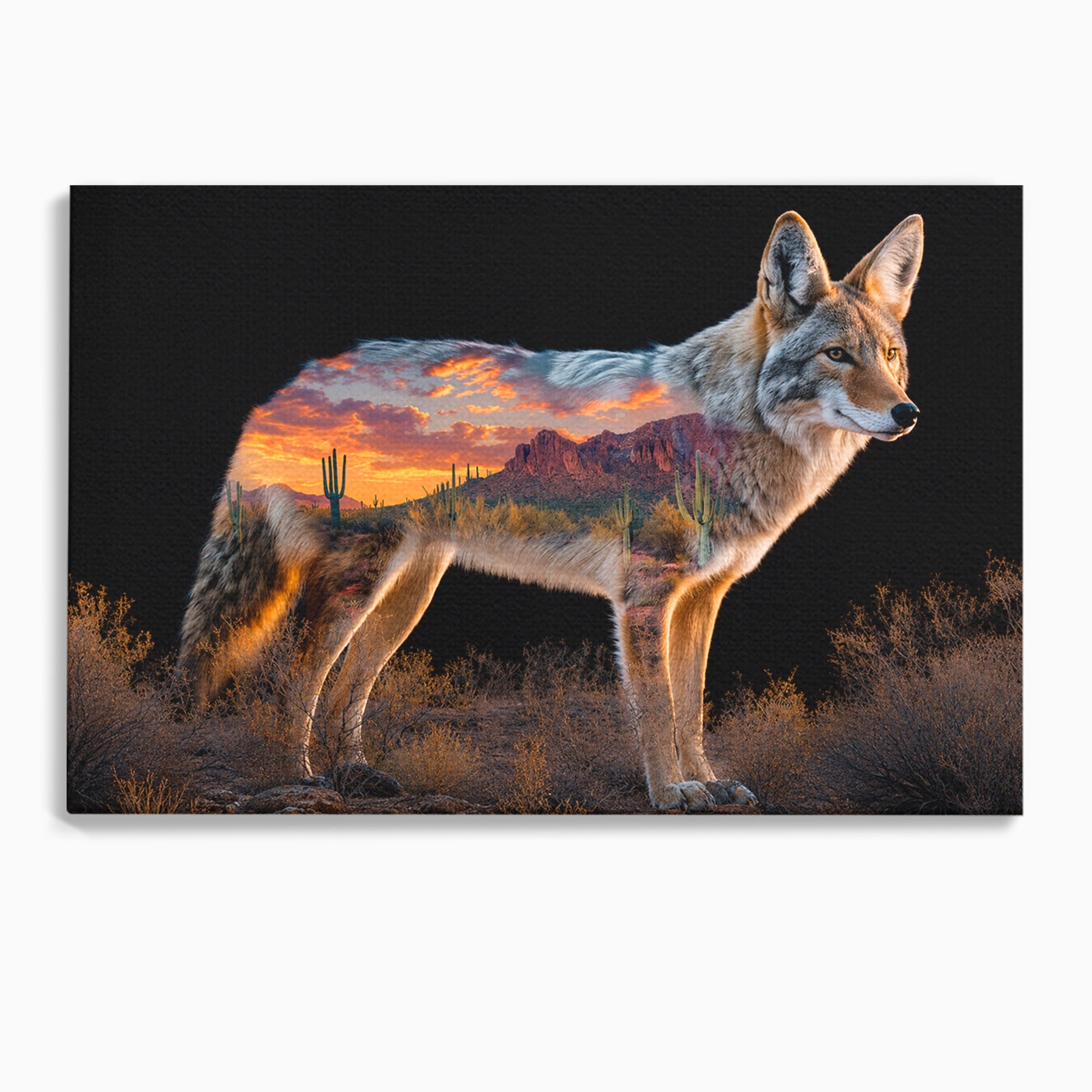 Tablou Canvas Premium LuxCanva® M1643, Coyote In Desert, Coyote, Desert, Apus, Natura, Peisaj, Animale, Living, Culori Vibrante