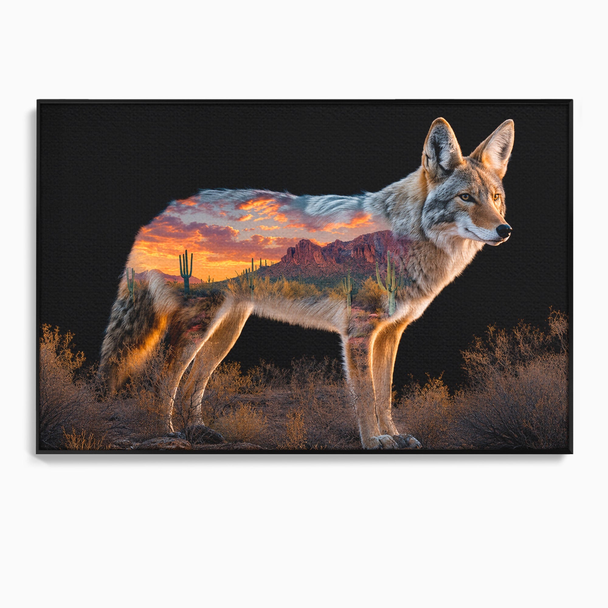 Tablou Canvas Premium LuxCanva® M1643, Coyote In Desert, Coyote, Desert, Apus, Natura, Peisaj, Animale, Living, Culori Vibrante