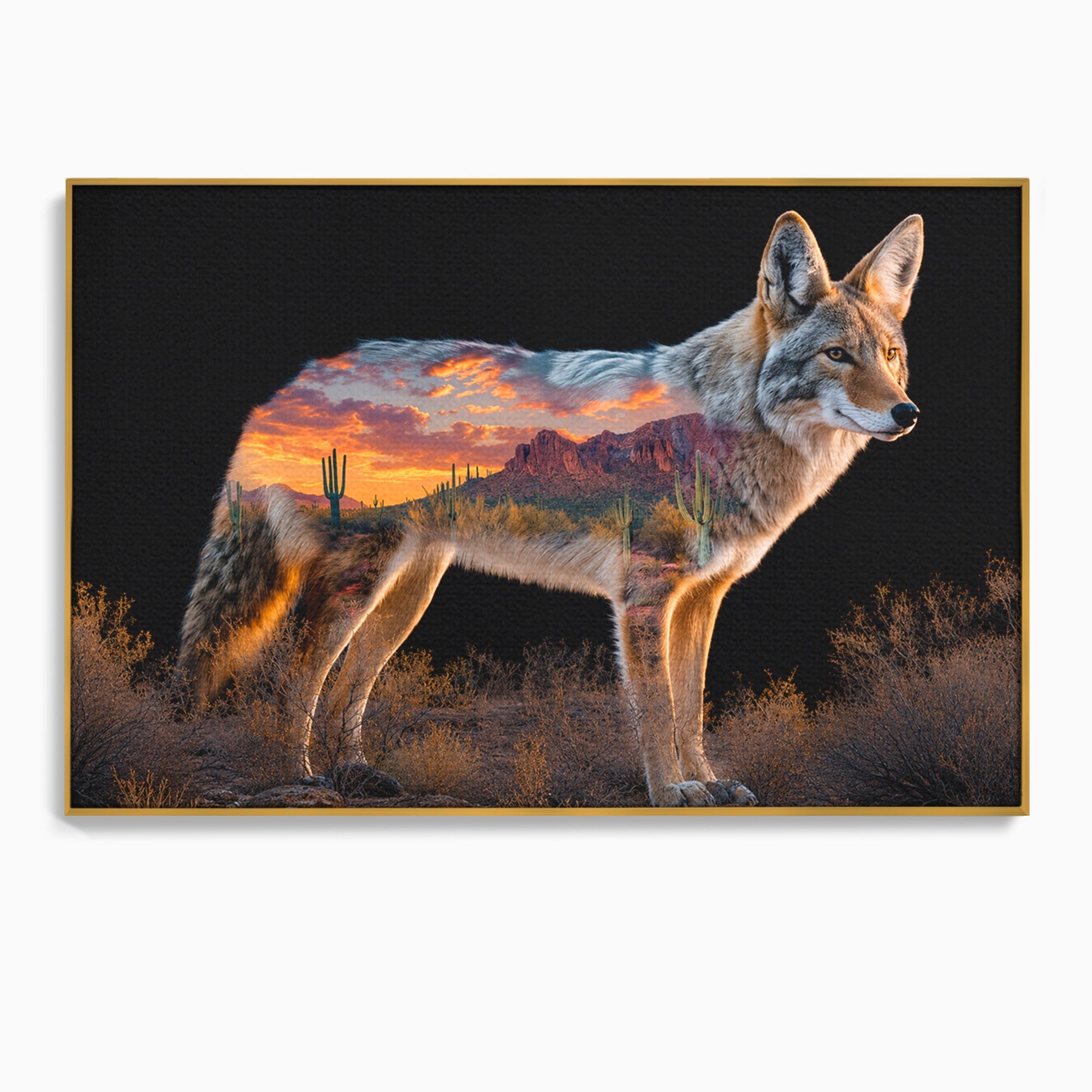 Tablou Canvas Premium LuxCanva® M1643, Coyote In Desert, Coyote, Desert, Apus, Natura, Peisaj, Animale, Living, Culori Vibrante