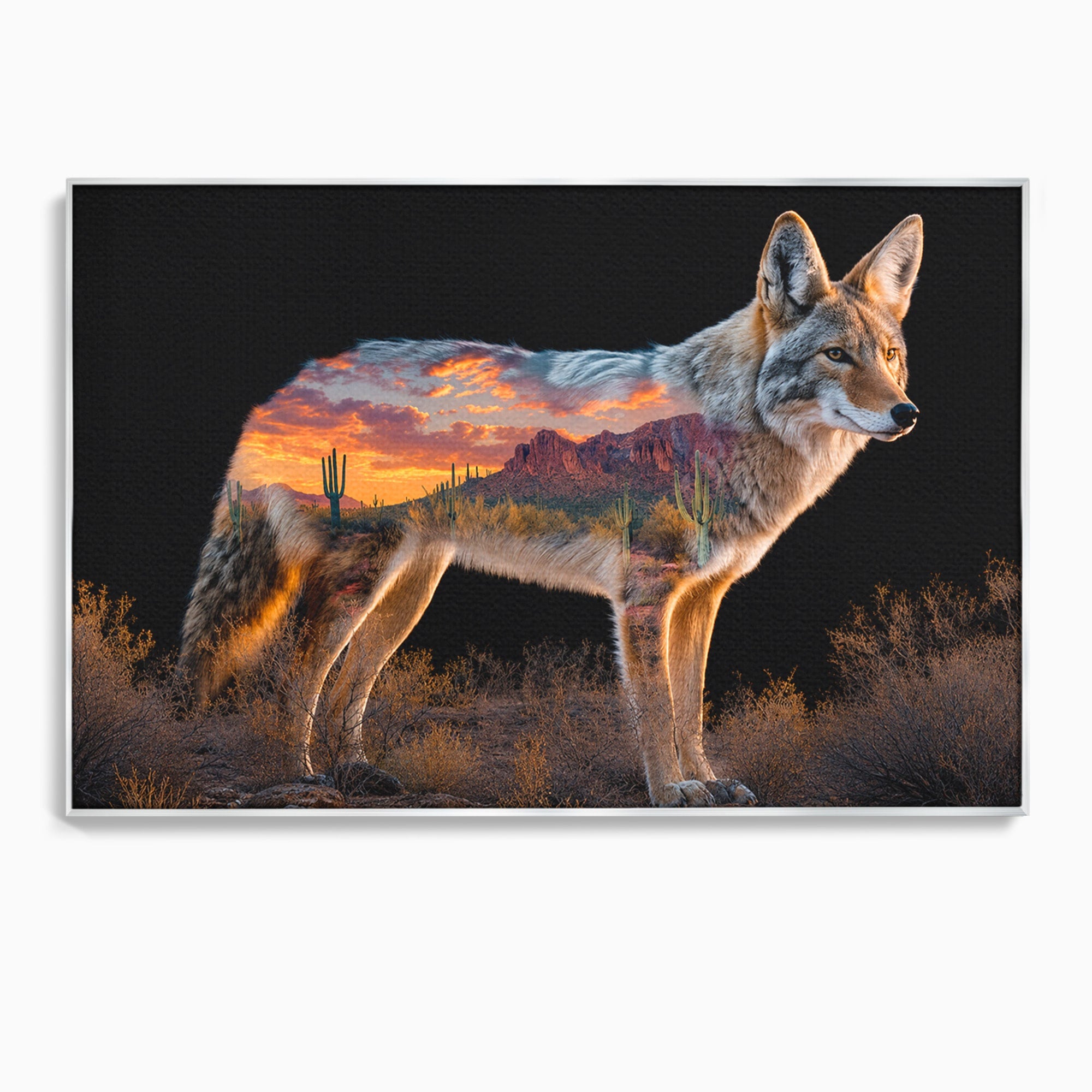 Tablou Canvas Premium LuxCanva® M1643, Coyote In Desert, Coyote, Desert, Apus, Natura, Peisaj, Animale, Living, Culori Vibrante