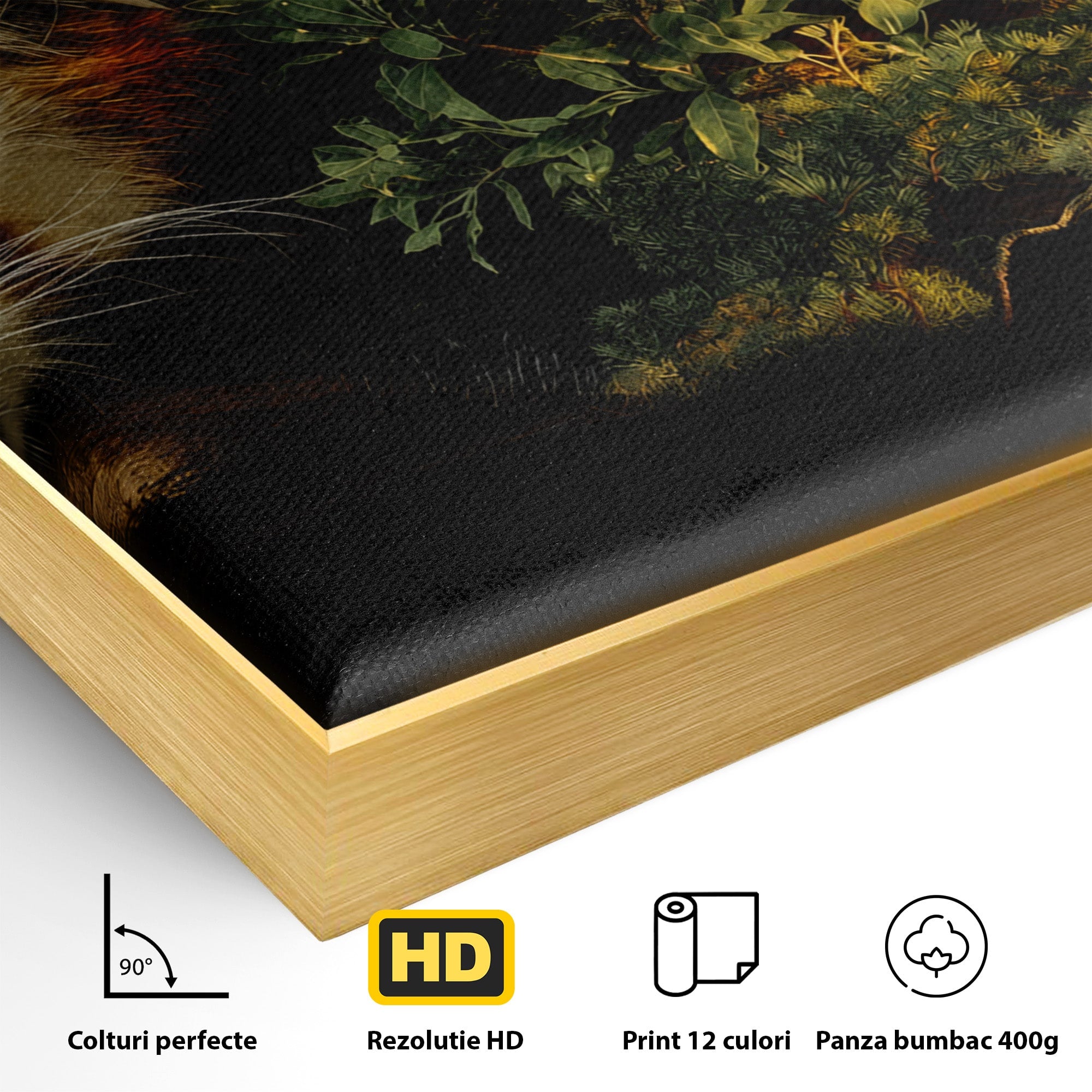 Tablou Canvas Premium LuxCanva® M1650, Panda Rosu Adormit, Panda Rosu, Natura, Padure, Animale, Relaxare, Dormitor, Living, Culori Vibrante