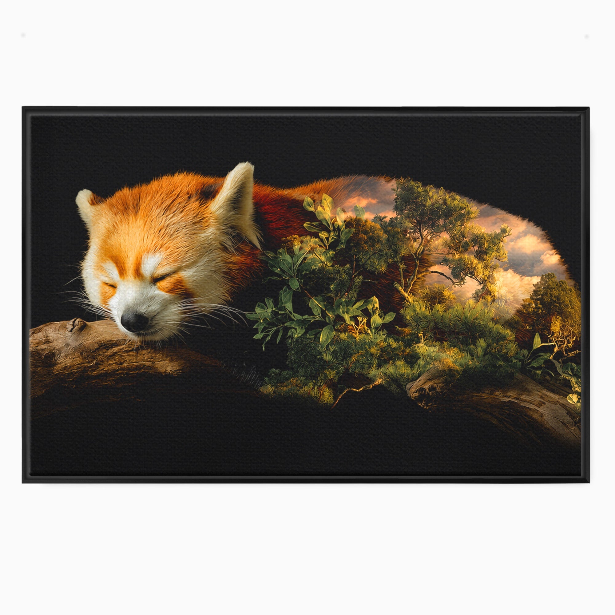 Tablou Canvas Premium LuxCanva® M1650, Panda Rosu Adormit, Panda Rosu, Natura, Padure, Animale, Relaxare, Dormitor, Living, Culori Vibrante