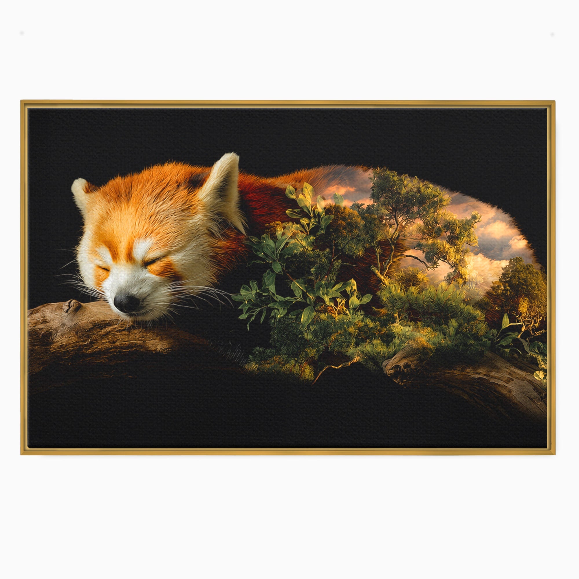 Tablou Canvas Premium LuxCanva® M1650, Panda Rosu Adormit, Panda Rosu, Natura, Padure, Animale, Relaxare, Dormitor, Living, Culori Vibrante