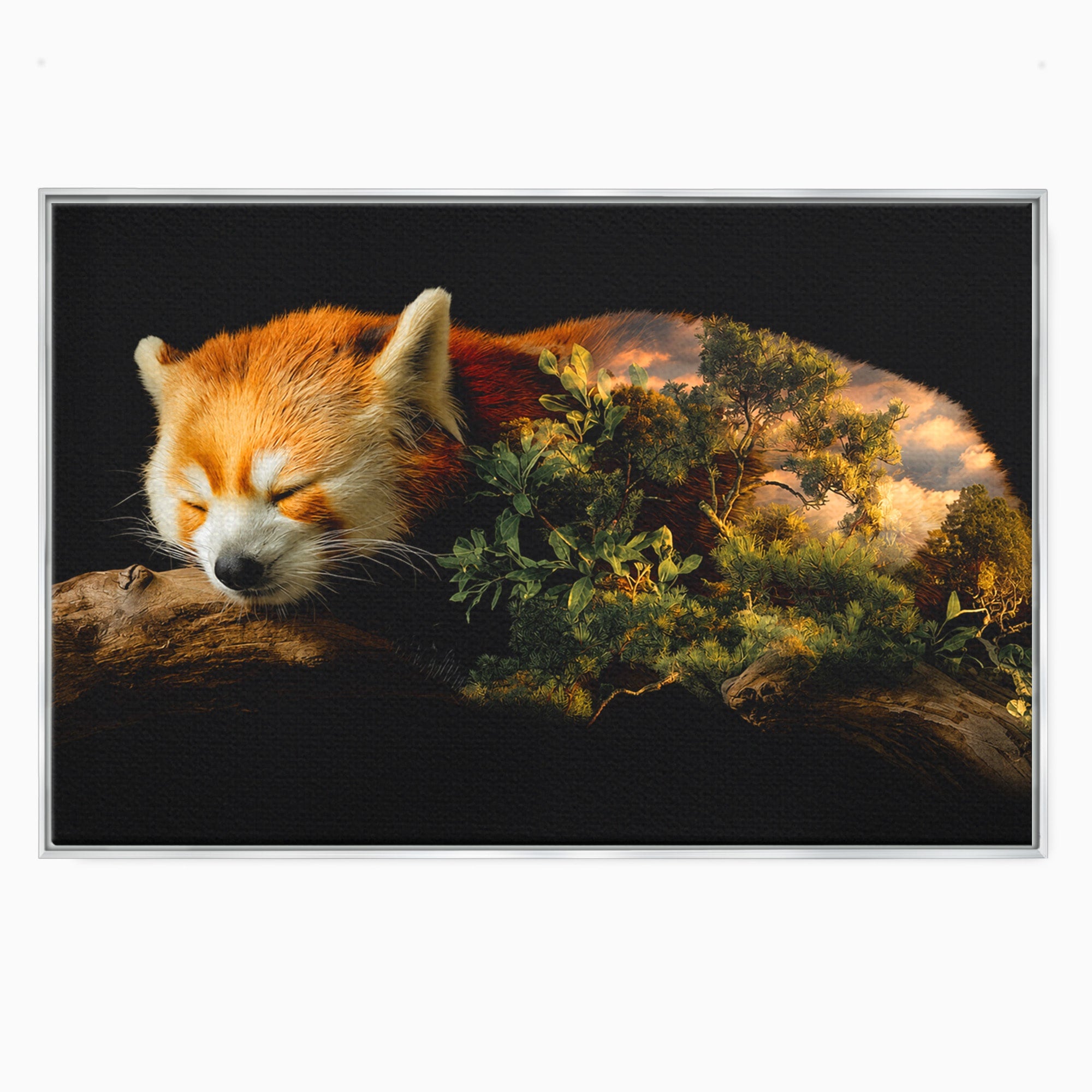 Tablou Canvas Premium LuxCanva® M1650, Panda Rosu Adormit, Panda Rosu, Natura, Padure, Animale, Relaxare, Dormitor, Living, Culori Vibrante