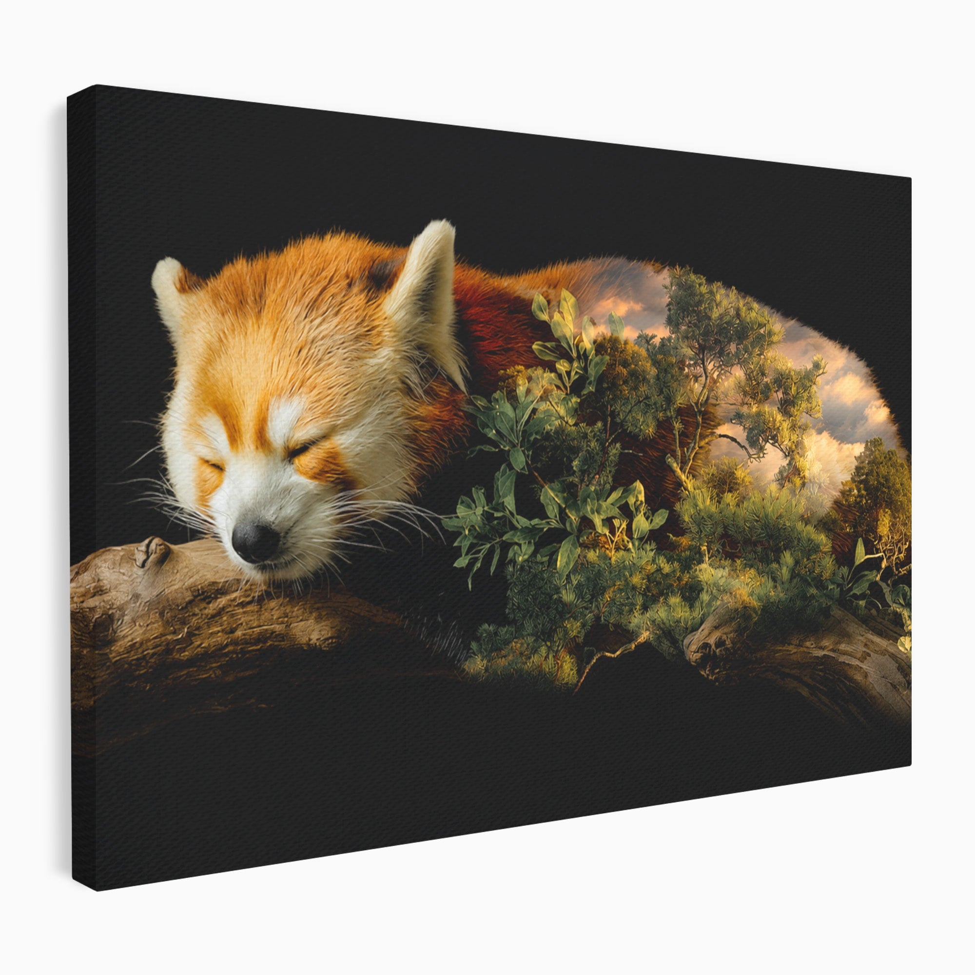Tablou Canvas Premium LuxCanva® M1650, Panda Rosu Adormit, Panda Rosu, Natura, Padure, Animale, Relaxare, Dormitor, Living, Culori Vibrante
