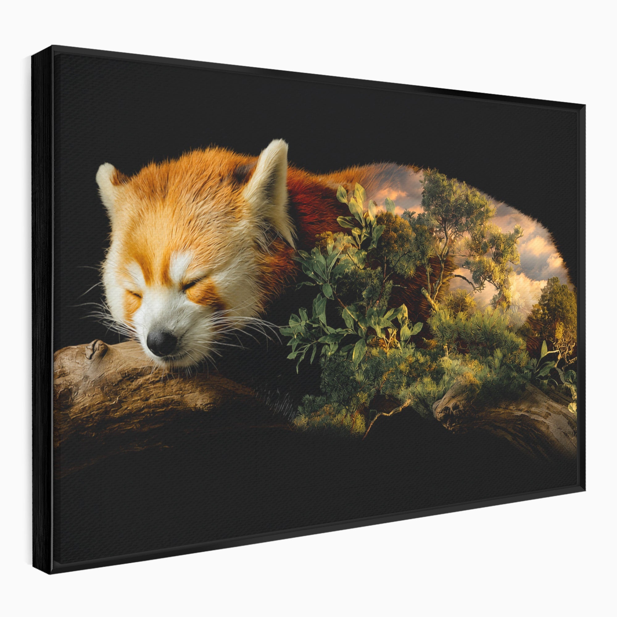 Tablou Canvas Premium LuxCanva® M1650, Panda Rosu Adormit, Panda Rosu, Natura, Padure, Animale, Relaxare, Dormitor, Living, Culori Vibrante