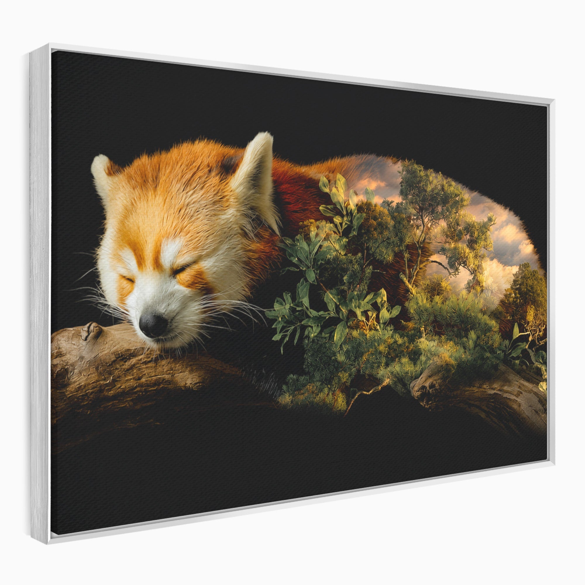 Tablou Canvas Premium LuxCanva® M1650, Panda Rosu Adormit, Panda Rosu, Natura, Padure, Animale, Relaxare, Dormitor, Living, Culori Vibrante
