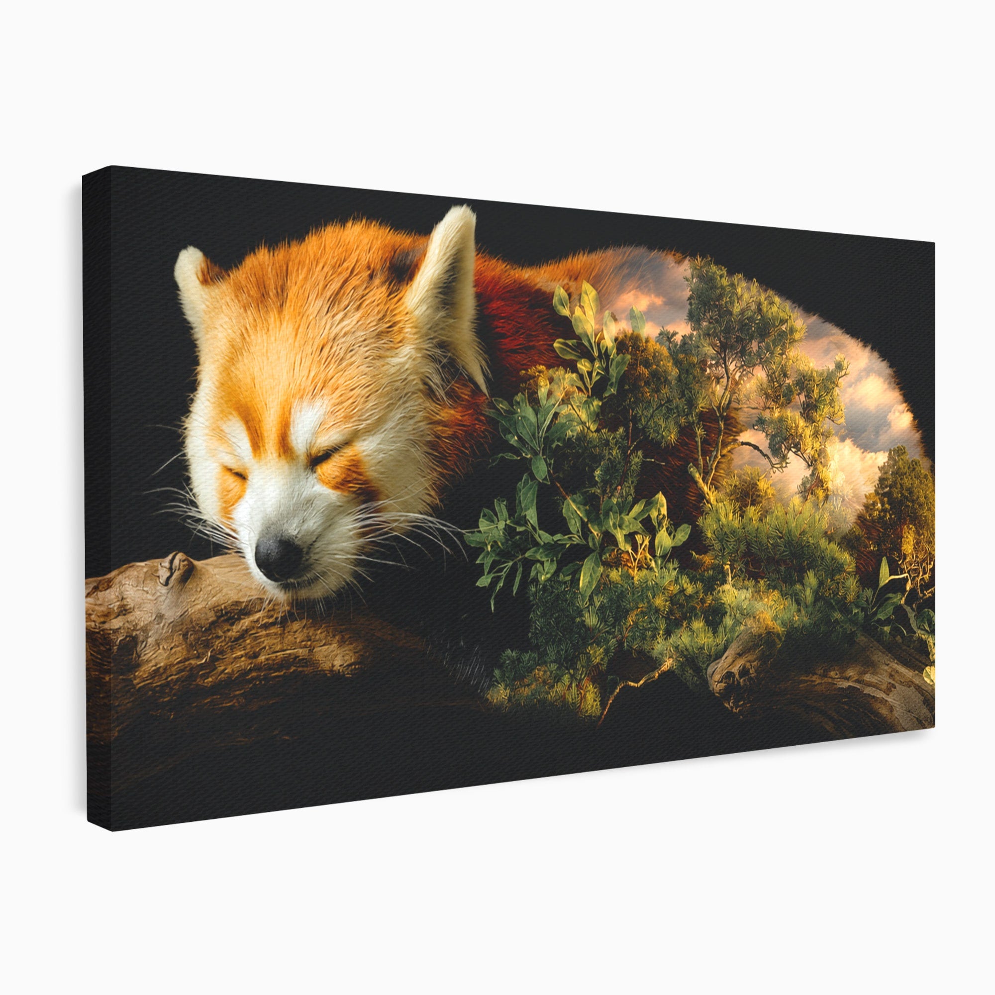 Tablou Canvas Premium LuxCanva® M1650, Panda Rosu Adormit, Panda Rosu, Natura, Padure, Animale, Relaxare, Dormitor, Living, Culori Vibrante