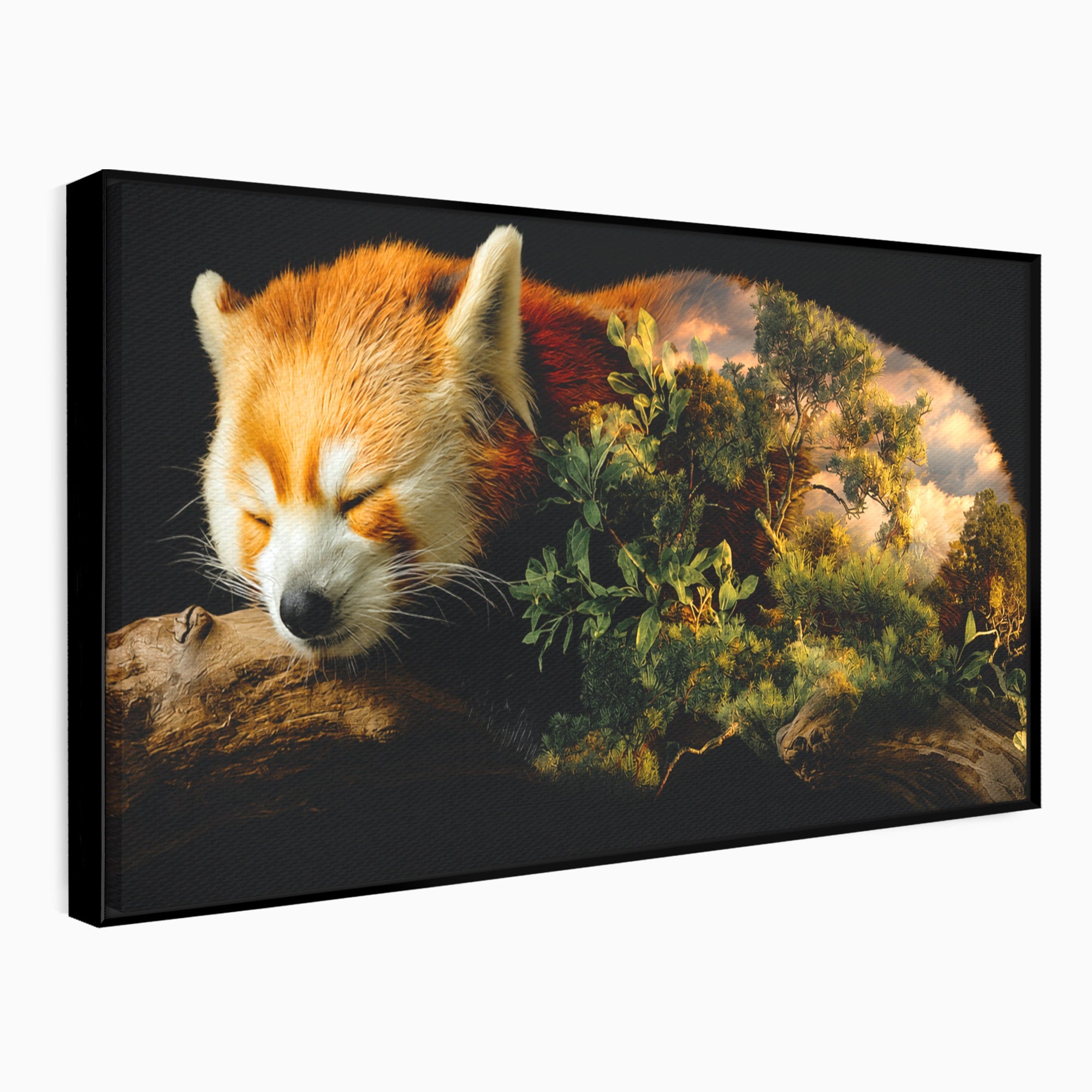 Tablou Canvas Premium LuxCanva® M1650, Panda Rosu Adormit, Panda Rosu, Natura, Padure, Animale, Relaxare, Dormitor, Living, Culori Vibrante