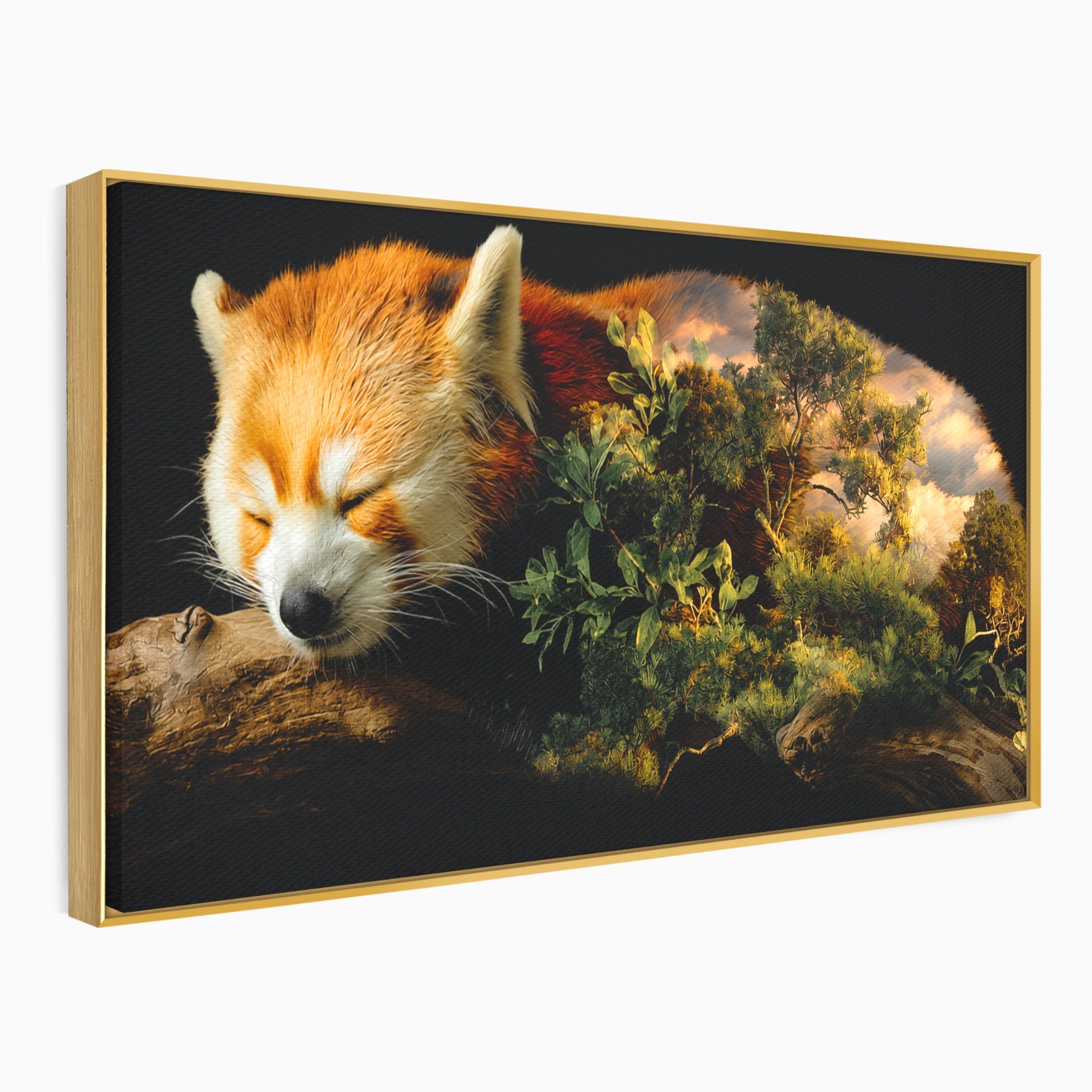 Tablou Canvas Premium LuxCanva® M1650, Panda Rosu Adormit, Panda Rosu, Natura, Padure, Animale, Relaxare, Dormitor, Living, Culori Vibrante