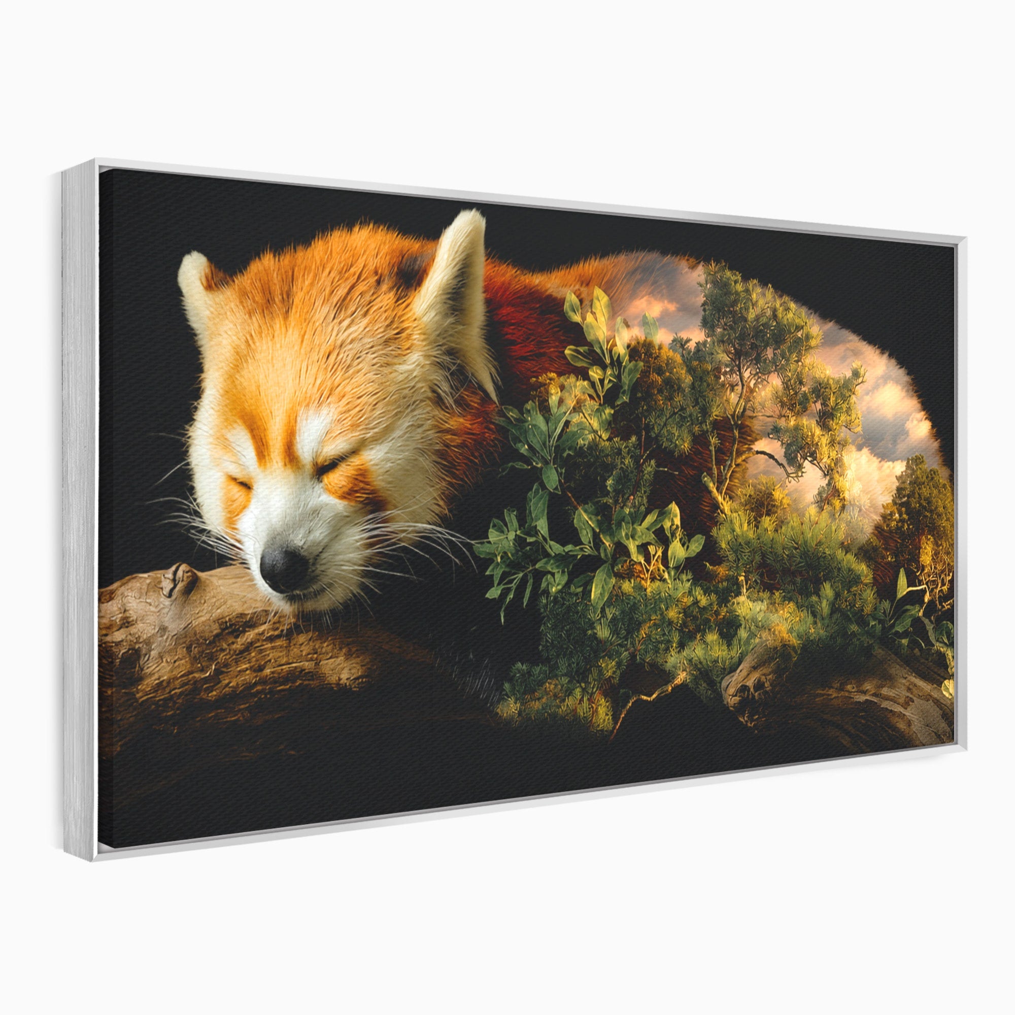 Tablou Canvas Premium LuxCanva® M1650, Panda Rosu Adormit, Panda Rosu, Natura, Padure, Animale, Relaxare, Dormitor, Living, Culori Vibrante
