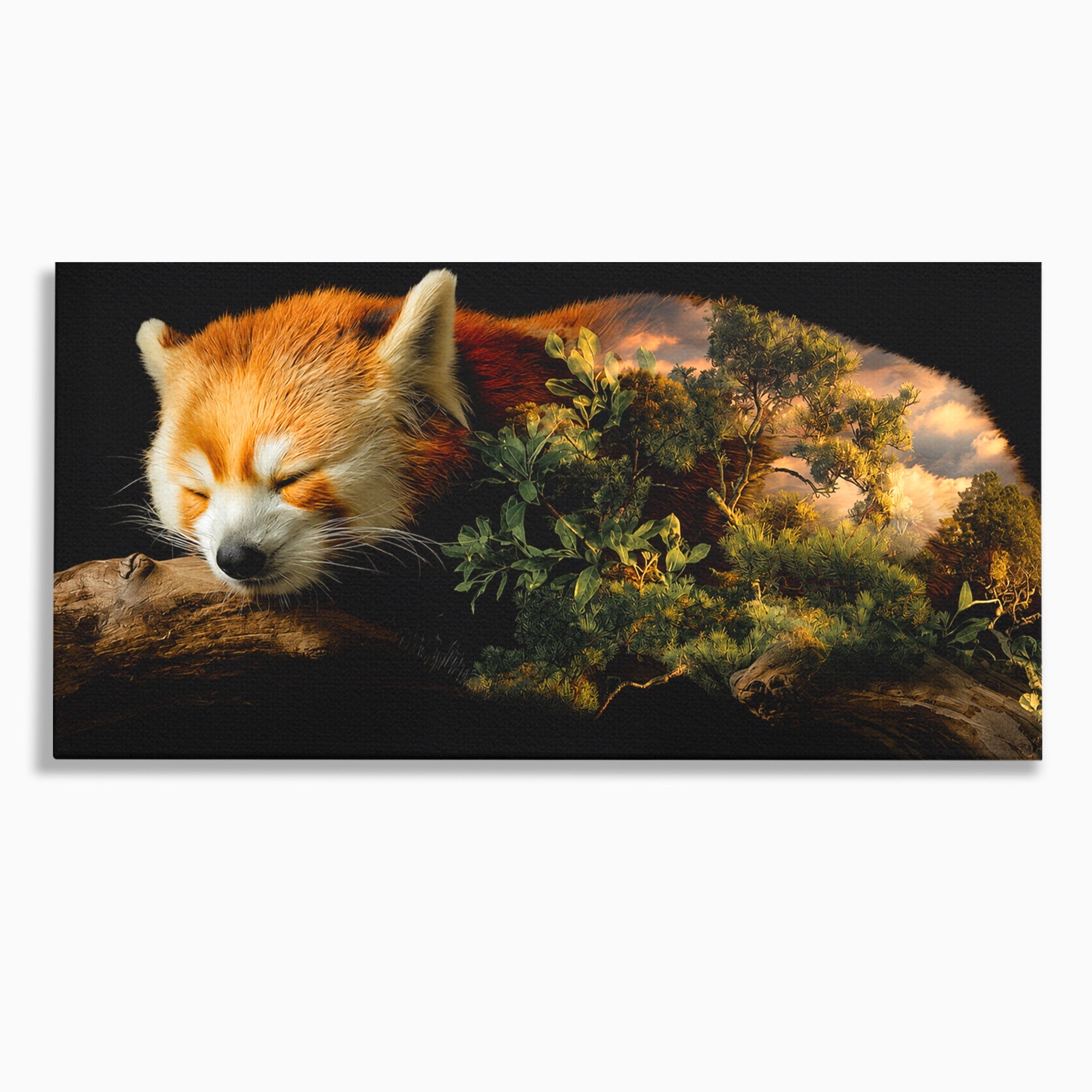 Tablou Canvas Premium LuxCanva® M1650, Panda Rosu Adormit, Panda Rosu, Natura, Padure, Animale, Relaxare, Dormitor, Living, Culori Vibrante