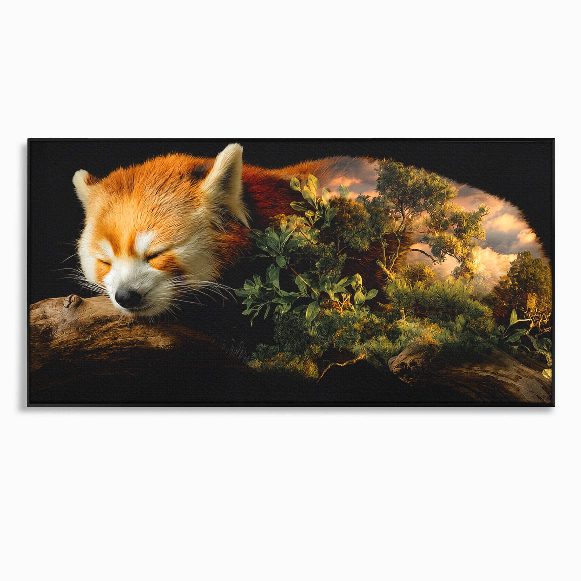 Tablou Canvas Premium LuxCanva® M1650, Panda Rosu Adormit, Panda Rosu, Natura, Padure, Animale, Relaxare, Dormitor, Living, Culori Vibrante