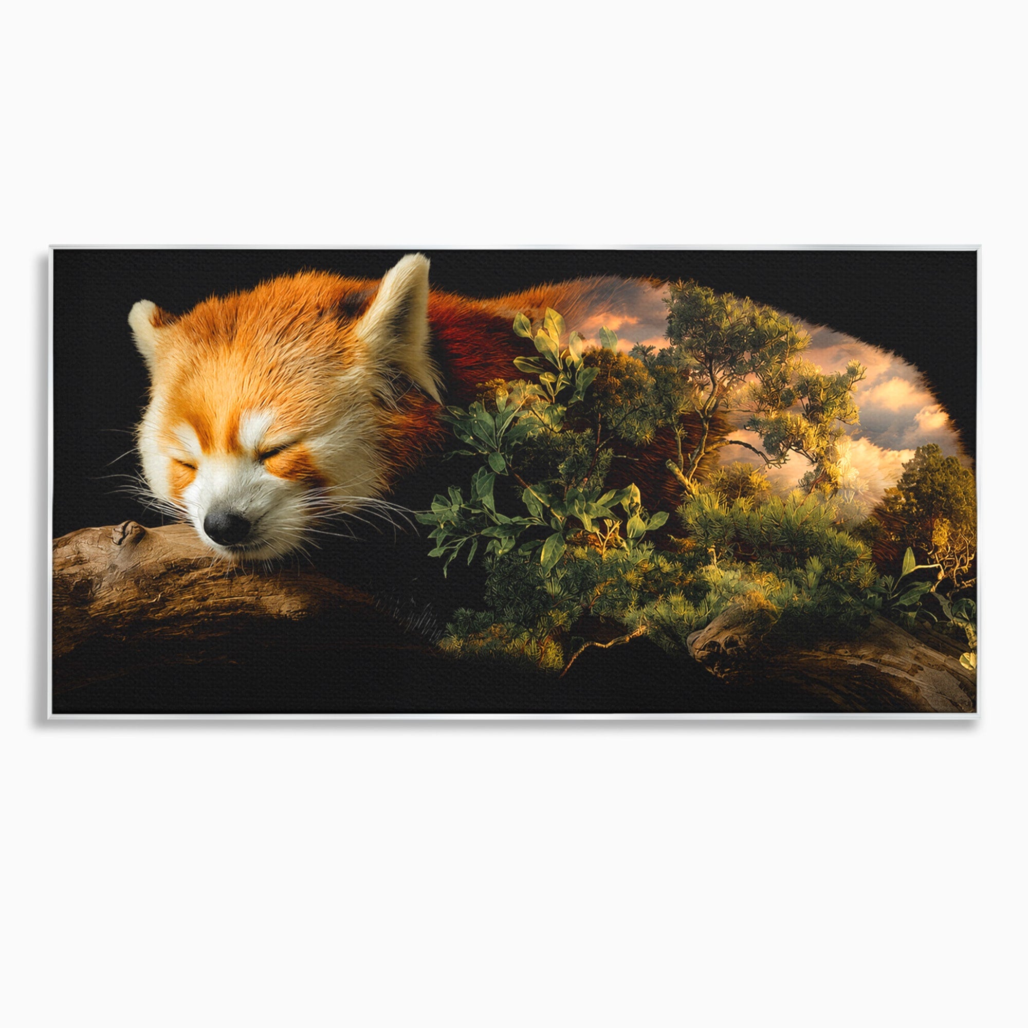 Tablou Canvas Premium LuxCanva® M1650, Panda Rosu Adormit, Panda Rosu, Natura, Padure, Animale, Relaxare, Dormitor, Living, Culori Vibrante