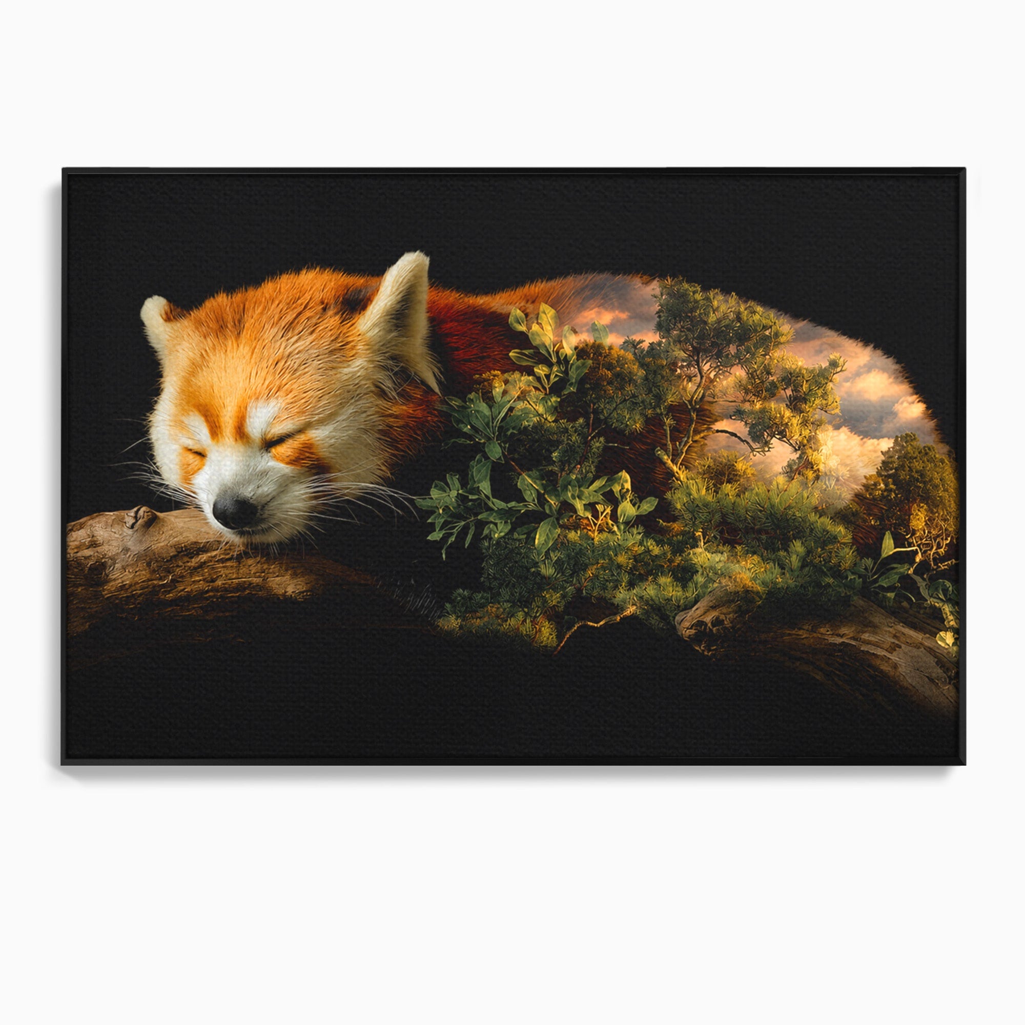Tablou Canvas Premium LuxCanva® M1650, Panda Rosu Adormit, Panda Rosu, Natura, Padure, Animale, Relaxare, Dormitor, Living, Culori Vibrante