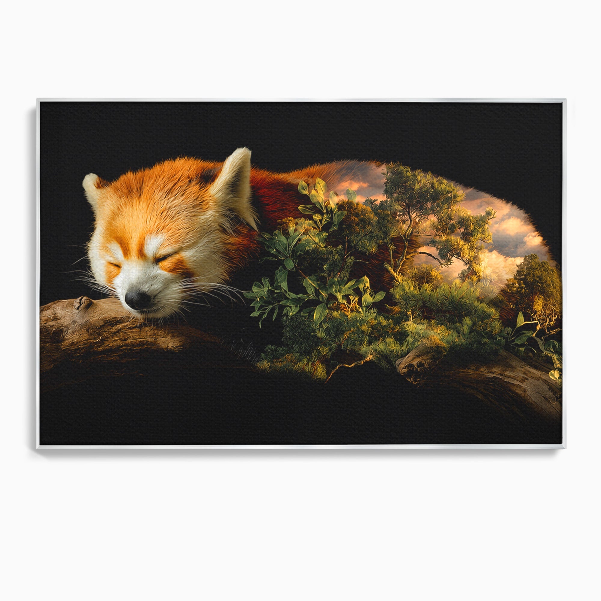Tablou Canvas Premium LuxCanva® M1650, Panda Rosu Adormit, Panda Rosu, Natura, Padure, Animale, Relaxare, Dormitor, Living, Culori Vibrante