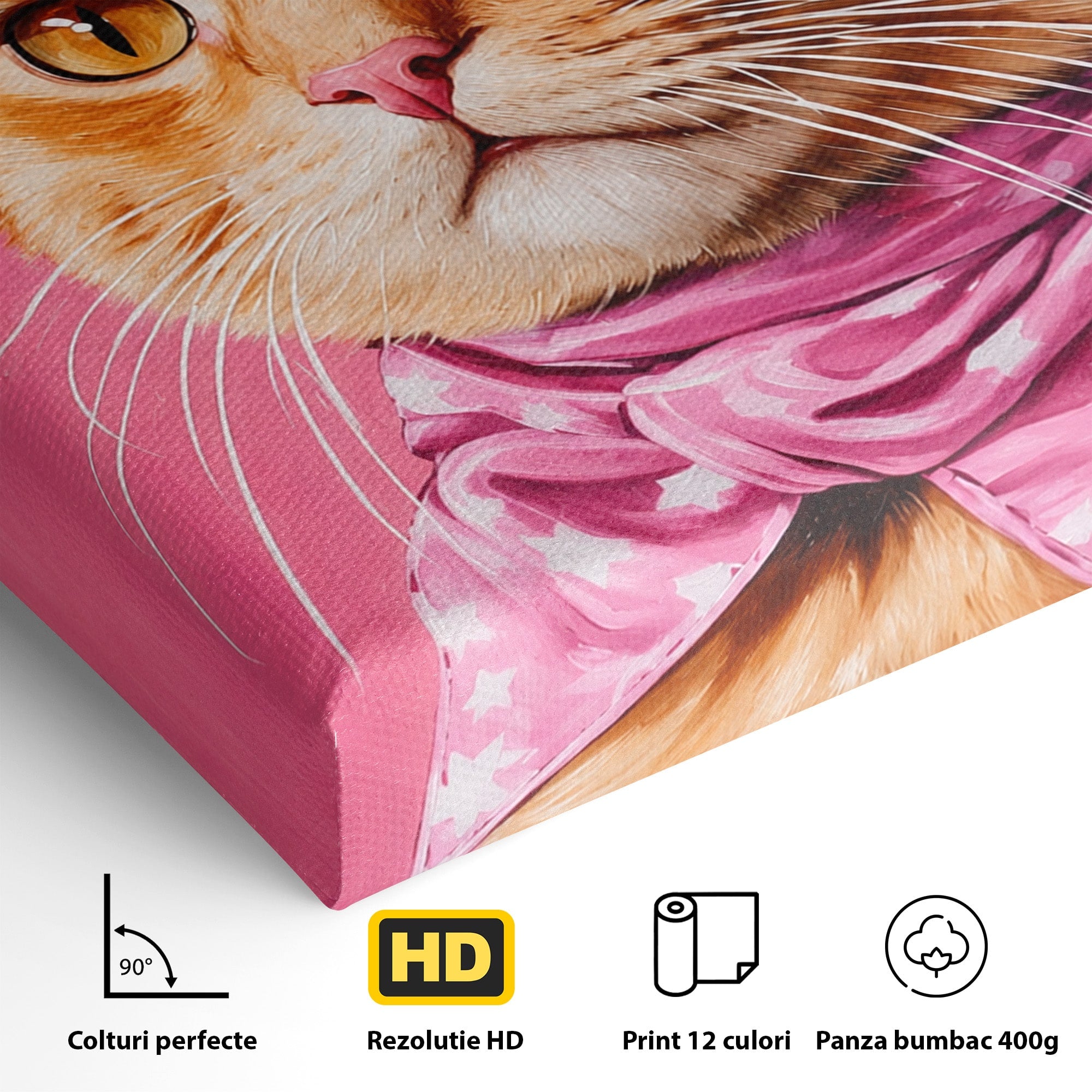 Tablou Canvas Premium LuxCanva® M1657, Pisica Cu Palarie Roz, Pisica, Palarie, Roz, Portret, Living, Culori Vibrante
