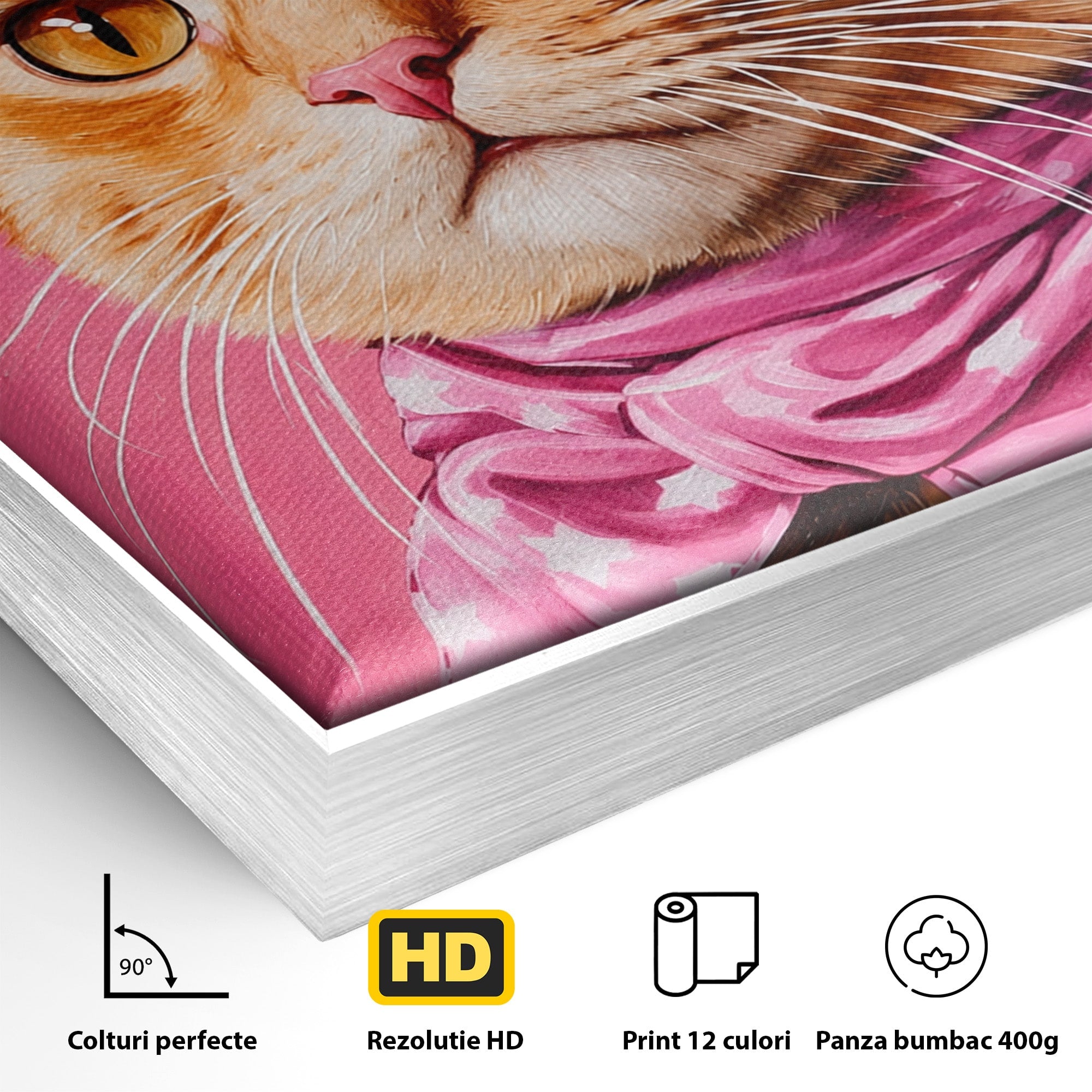 Tablou Canvas Premium LuxCanva® M1657, Pisica Cu Palarie Roz, Pisica, Palarie, Roz, Portret, Living, Culori Vibrante