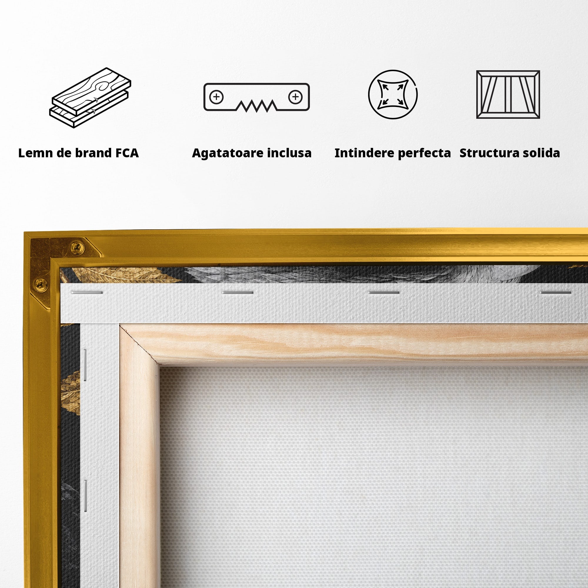 Tablou Canvas Premium LuxCanva® M1662, Vultur Regal, Vultur, Natura, Eleganta, Living, Birou, Culori Vibrante