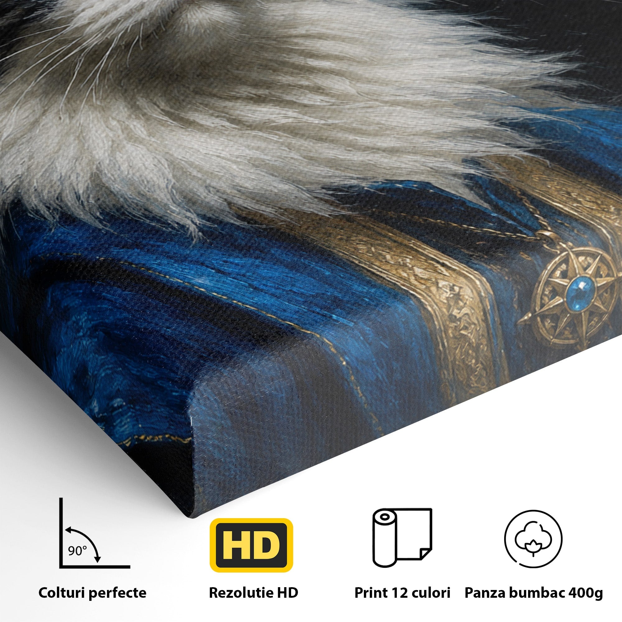 Tablou Canvas Premium LuxCanva® M1674, Pisica Magica, Pisica, Magie, Portret, Animale, Dormitor, Culori Vibrante