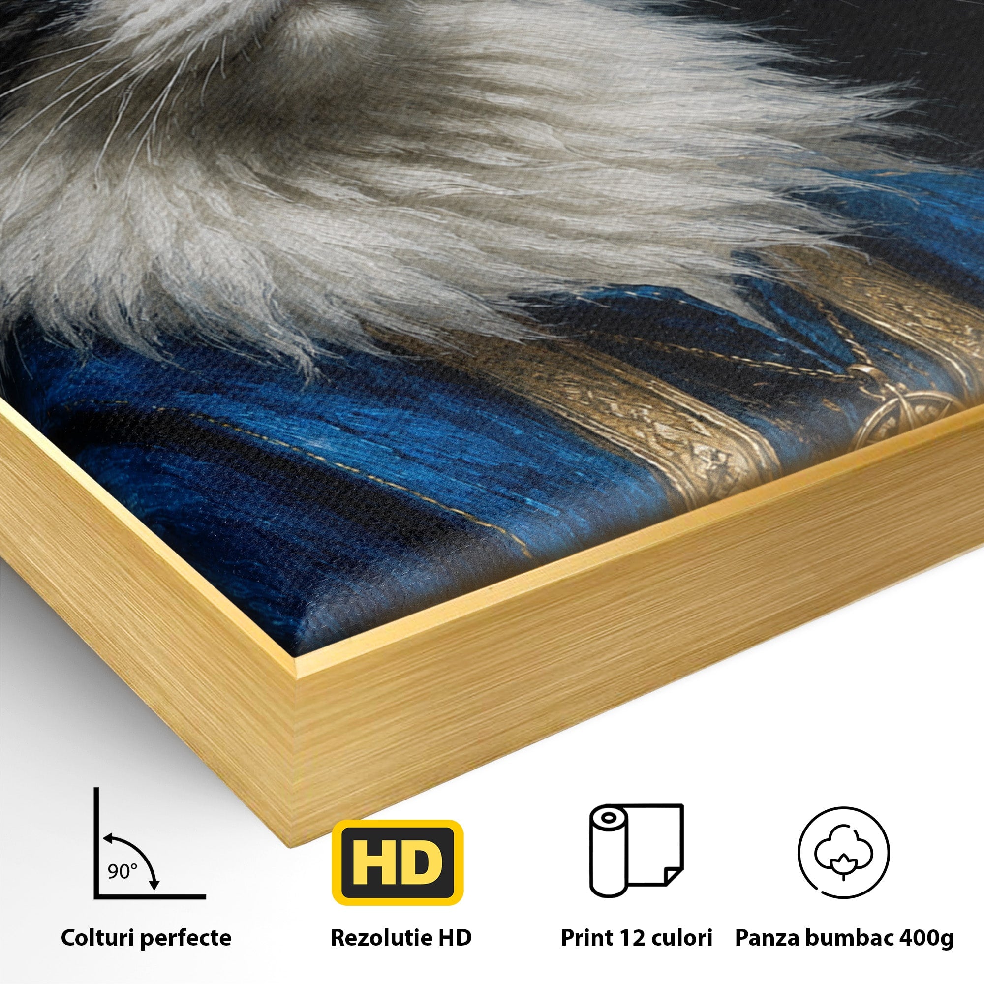Tablou Canvas Premium LuxCanva® M1674, Pisica Magica, Pisica, Magie, Portret, Animale, Dormitor, Culori Vibrante