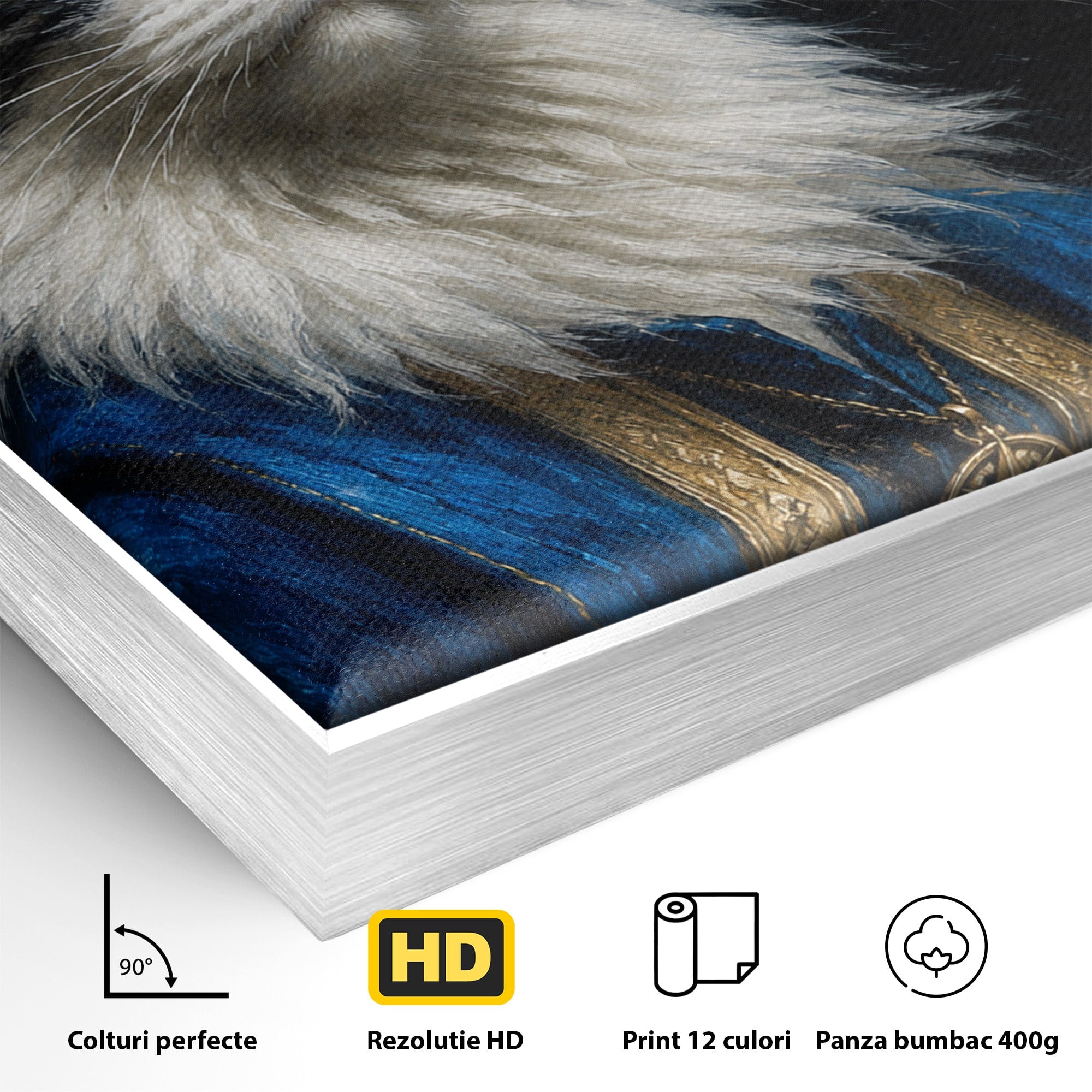 Tablou Canvas Premium LuxCanva® M1674, Pisica Magica, Pisica, Magie, Portret, Animale, Dormitor, Culori Vibrante