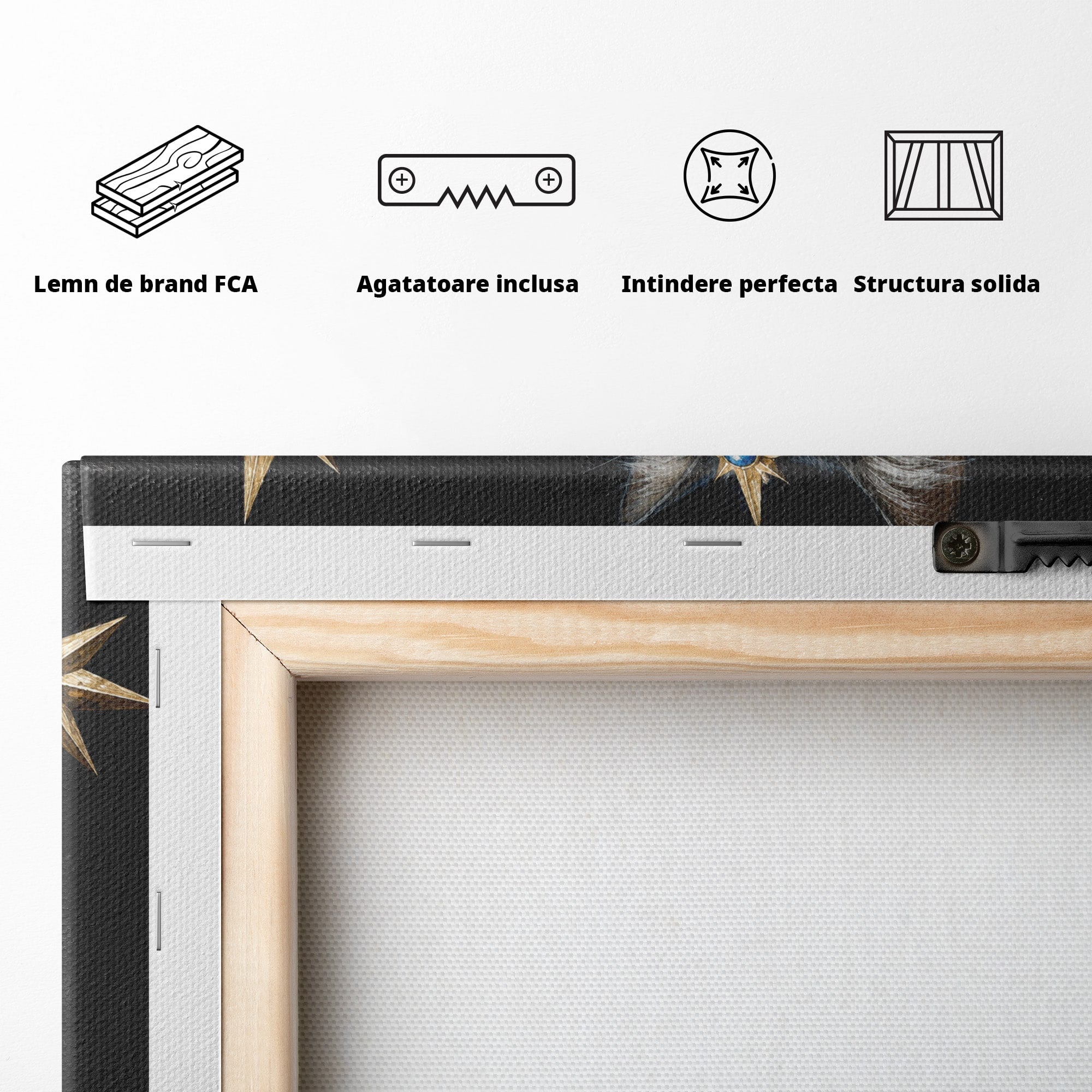Tablou Canvas Premium LuxCanva® M1674, Pisica Magica, Pisica, Magie, Portret, Animale, Dormitor, Culori Vibrante