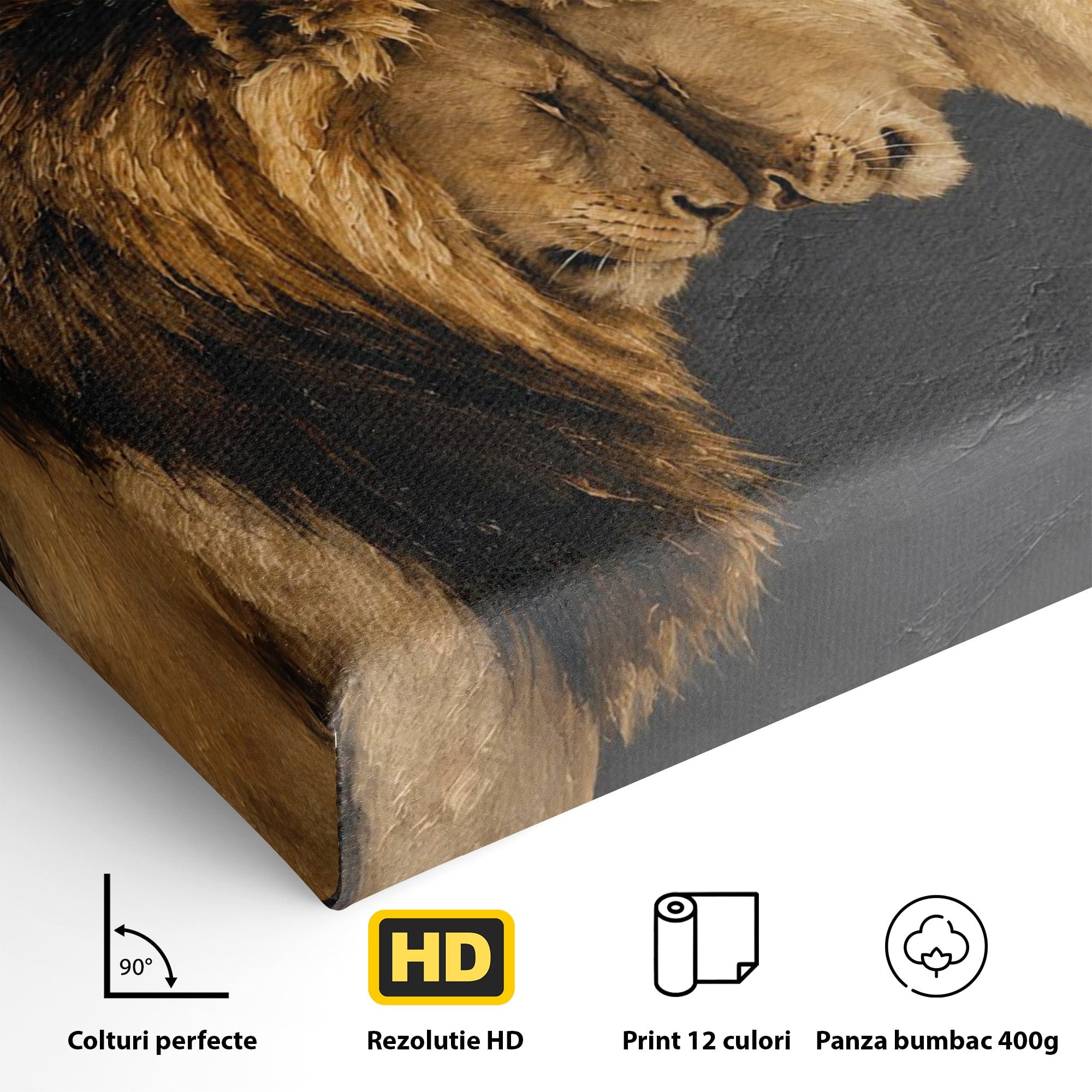 Tablou Canvas Premium LuxCanva® M1677, Leii Indragostiti, Leu, Dragoste, Wildlife, Dormitor, Living, Culori Vibrante
