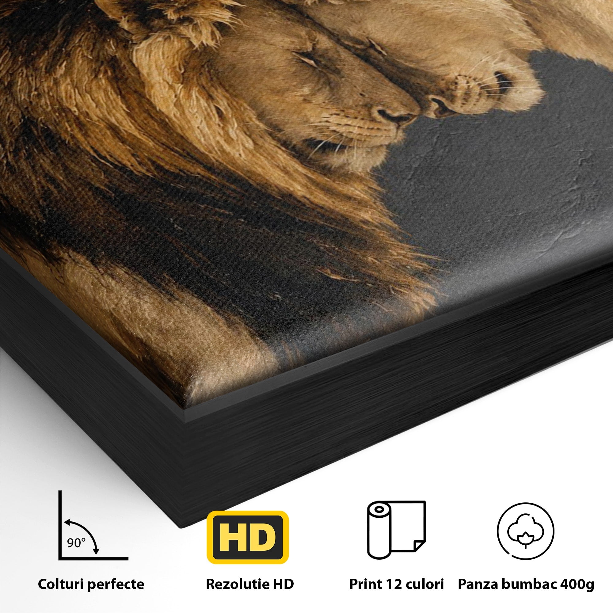 Tablou Canvas Premium LuxCanva® M1677, Leii Indragostiti, Leu, Dragoste, Wildlife, Dormitor, Living, Culori Vibrante