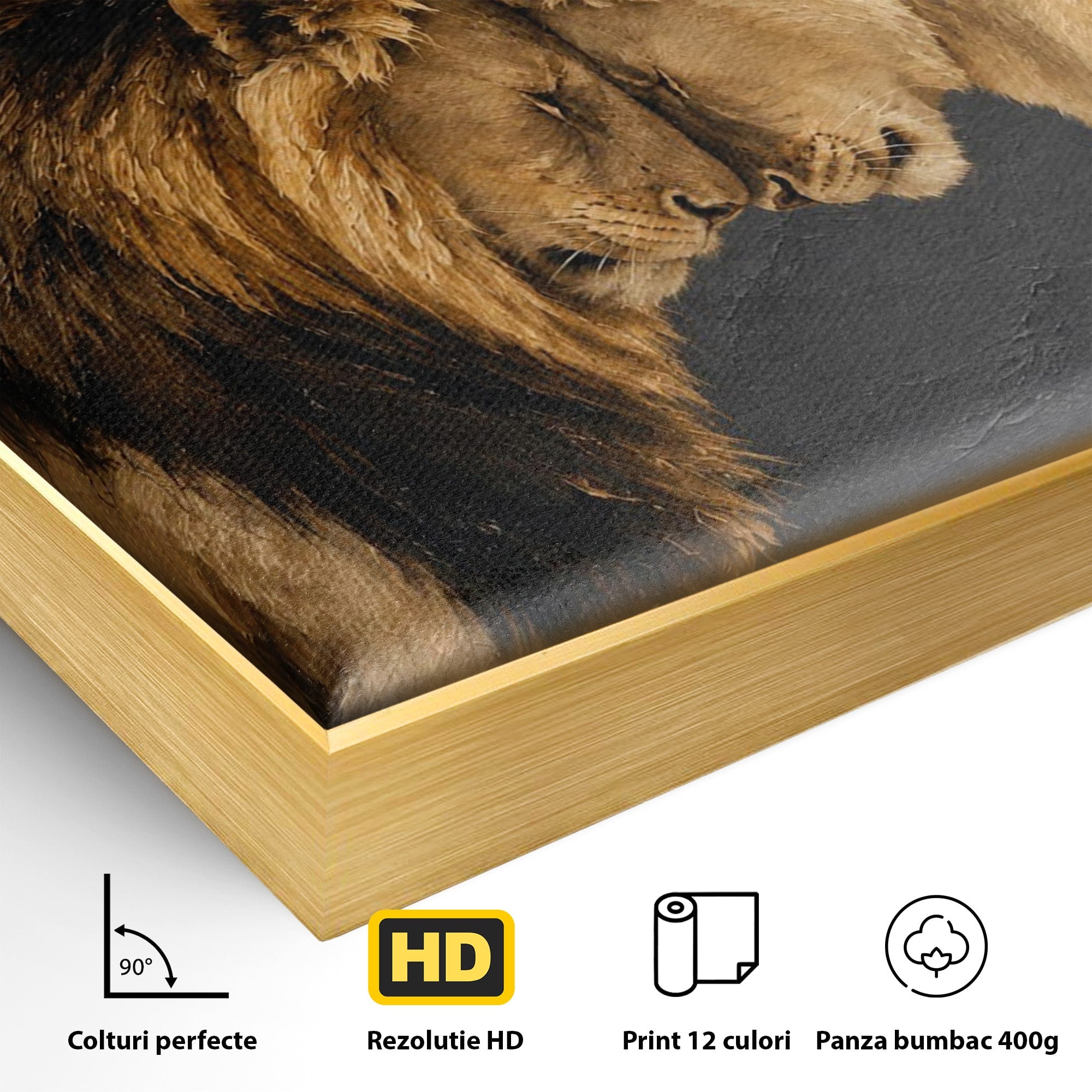 Tablou Canvas Premium LuxCanva® M1677, Leii Indragostiti, Leu, Dragoste, Wildlife, Dormitor, Living, Culori Vibrante