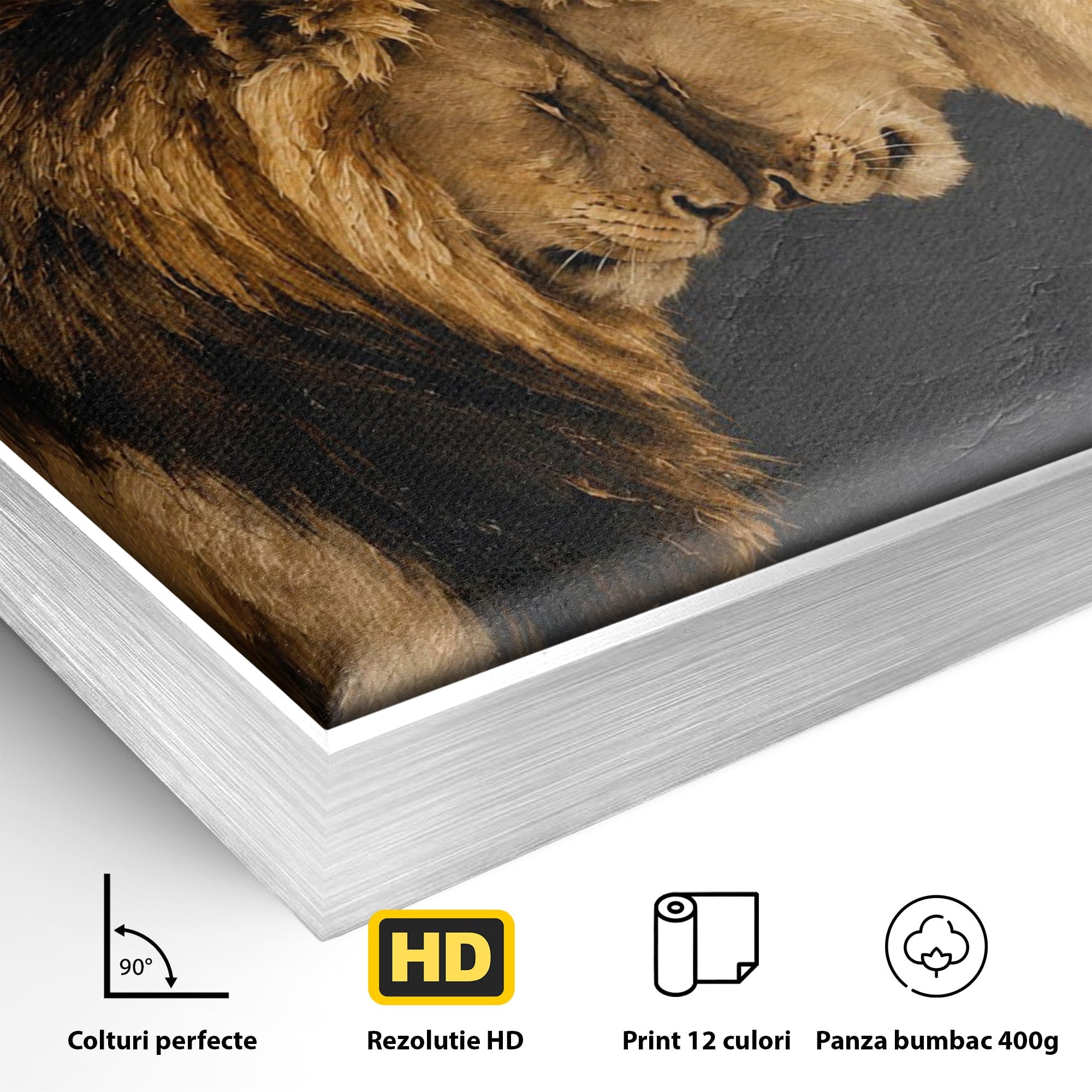 Tablou Canvas Premium LuxCanva® M1677, Leii Indragostiti, Leu, Dragoste, Wildlife, Dormitor, Living, Culori Vibrante