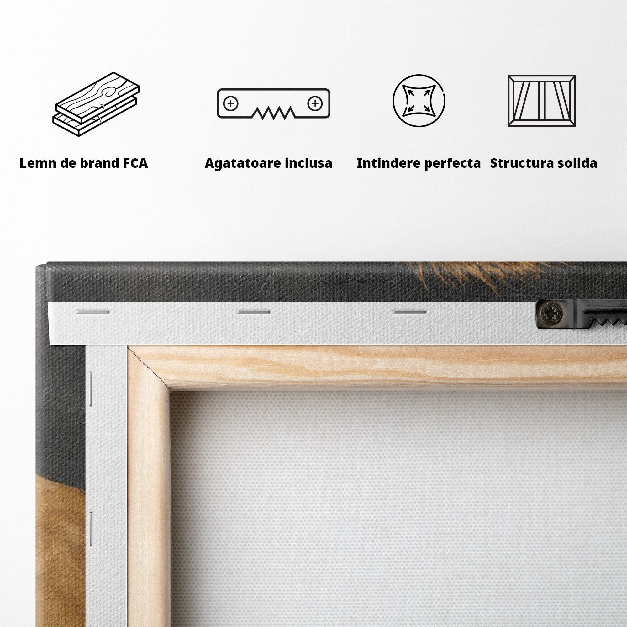 Tablou Canvas Premium LuxCanva® M1677, Leii Indragostiti, Leu, Dragoste, Wildlife, Dormitor, Living, Culori Vibrante