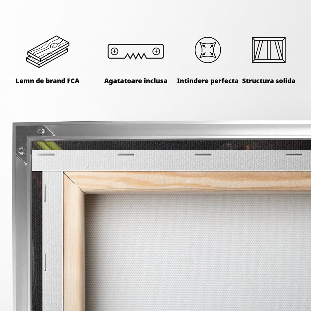Leinwand Premium Canvas Wandbilder, LuxCanva® N1001, Farbenfreude, Pasta, Lebensmittel, Ravioli, Gastronomie, Teller, Gabel, Gabel, Italienisch, Geschmack, Gewürze, Restaurant, Küche