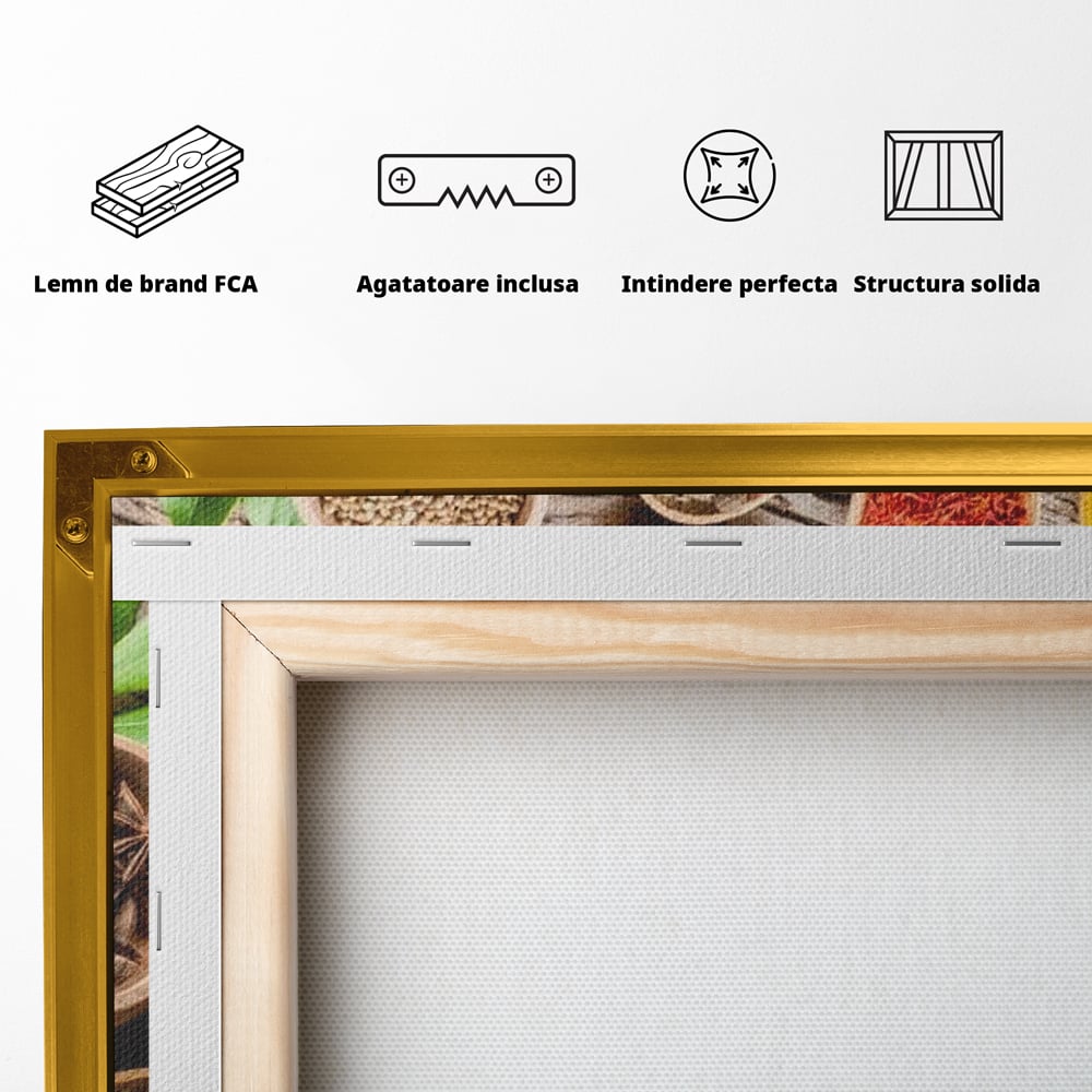 Tablou Canvas Premium, LuxCanva® N1025, Esente Orientale, Condimente, Plante Aromatice, Mirodenii, Ingrediente, Natural, Gust, Aroma, Boabe, Gastronomie, Restaurant, Bucatarie