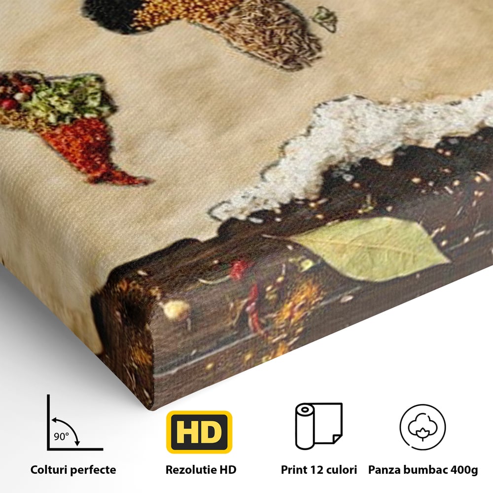 Tablou Canvas Premium, LuxCanva® N1029, Geografia Gustului, Harta Lumii, Condimente, Mirodenii, Gust, Aroma, Ingrediente, Continente, Retete, Natural, Oriental, Restaurant, Bucatarie