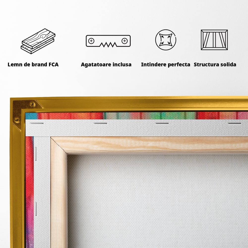 Tablou Canvas Premium, LuxCanva® N1052, Inghetata Curcubeu, Desert, Racoritor, Vara, Inghetata, Gelaterie, Dulce, Topit, Gust, Copilarie, Zahar, Restaurant, Bucatarie