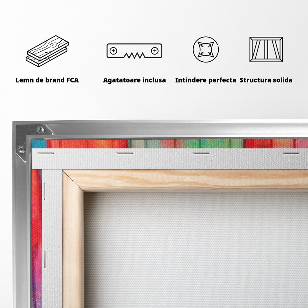 Tablou Canvas Premium, LuxCanva® N1052, Inghetata Curcubeu, Desert, Racoritor, Vara, Inghetata, Gelaterie, Dulce, Topit, Gust, Copilarie, Zahar, Restaurant, Bucatarie