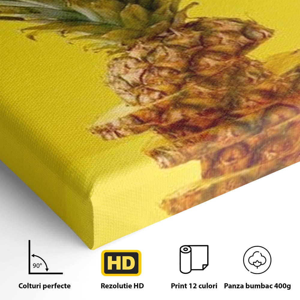 Leinwand Premium Canvas Wall Art, LuxCanva® N1078, Geschmack von Urlaub, Ananas, Obst, Scheiben, tropisch, Energie, Vitamine, süß, frisch, frisch, exotisch, Restaurant, Küche