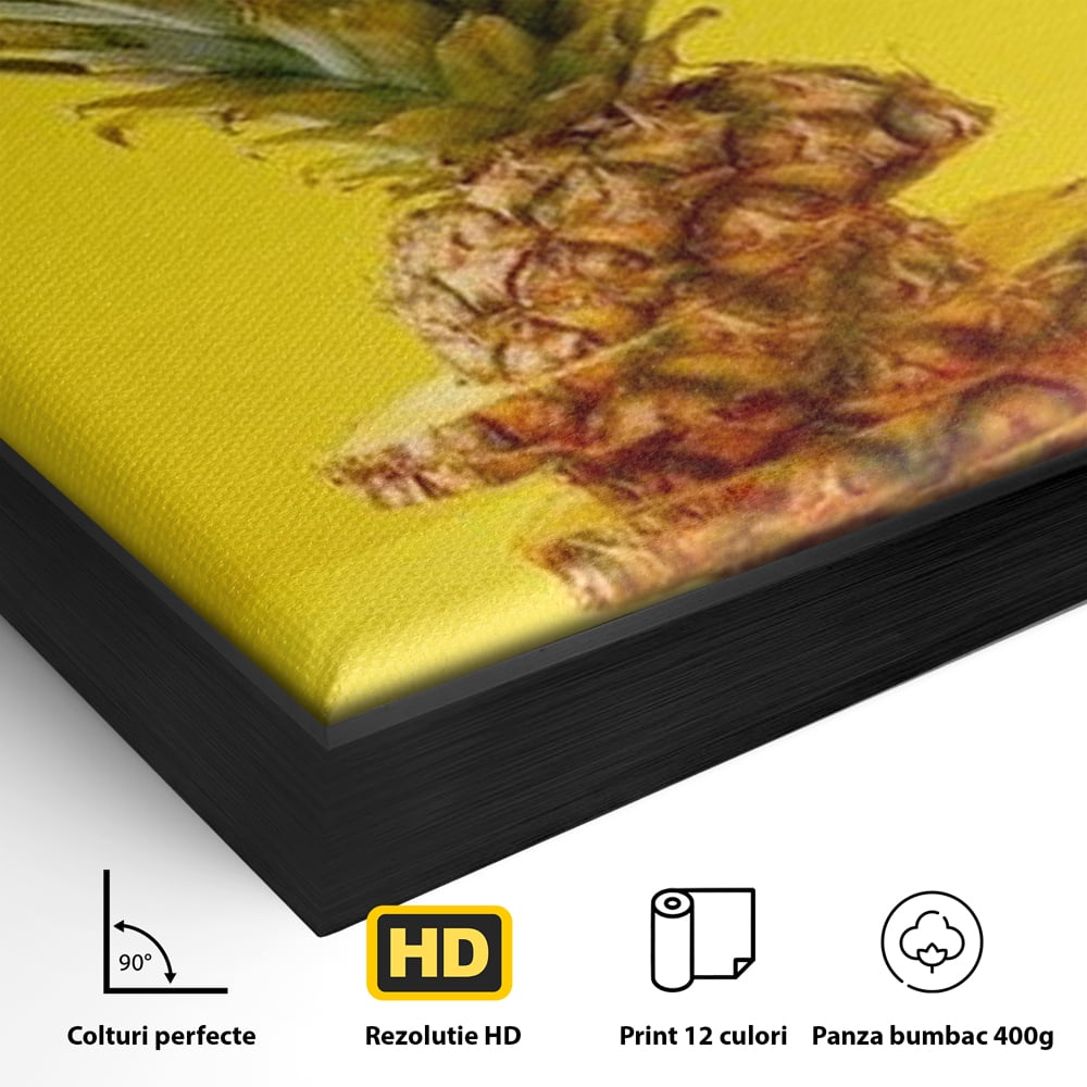 Leinwand Premium Canvas Wall Art, LuxCanva® N1078, Geschmack von Urlaub, Ananas, Obst, Scheiben, tropisch, Energie, Vitamine, süß, frisch, frisch, exotisch, Restaurant, Küche